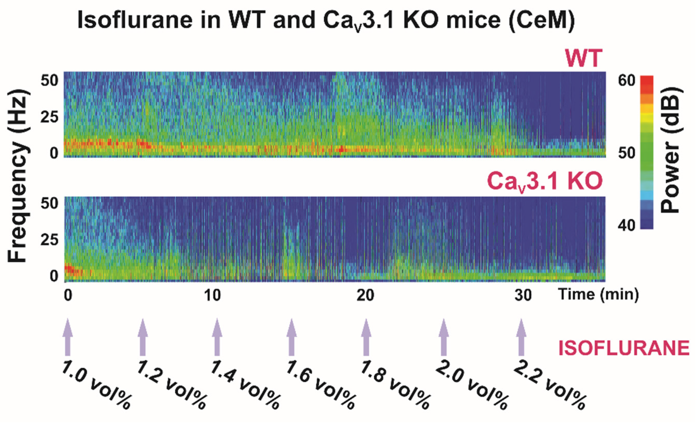 Ijms 23 02349 g002 Ijms 23 02349 g002