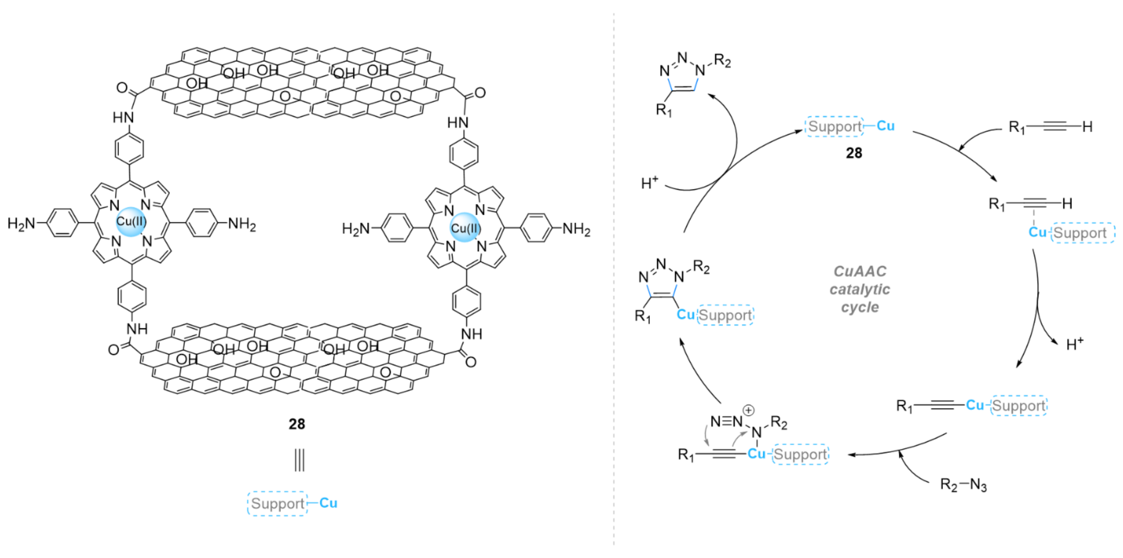 Ijms 23 02383 sch011