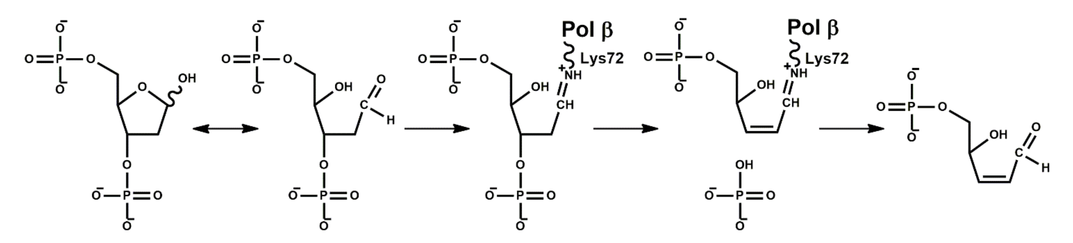 Ijms 23 02390 g003 Ijms 23 02390 g003
