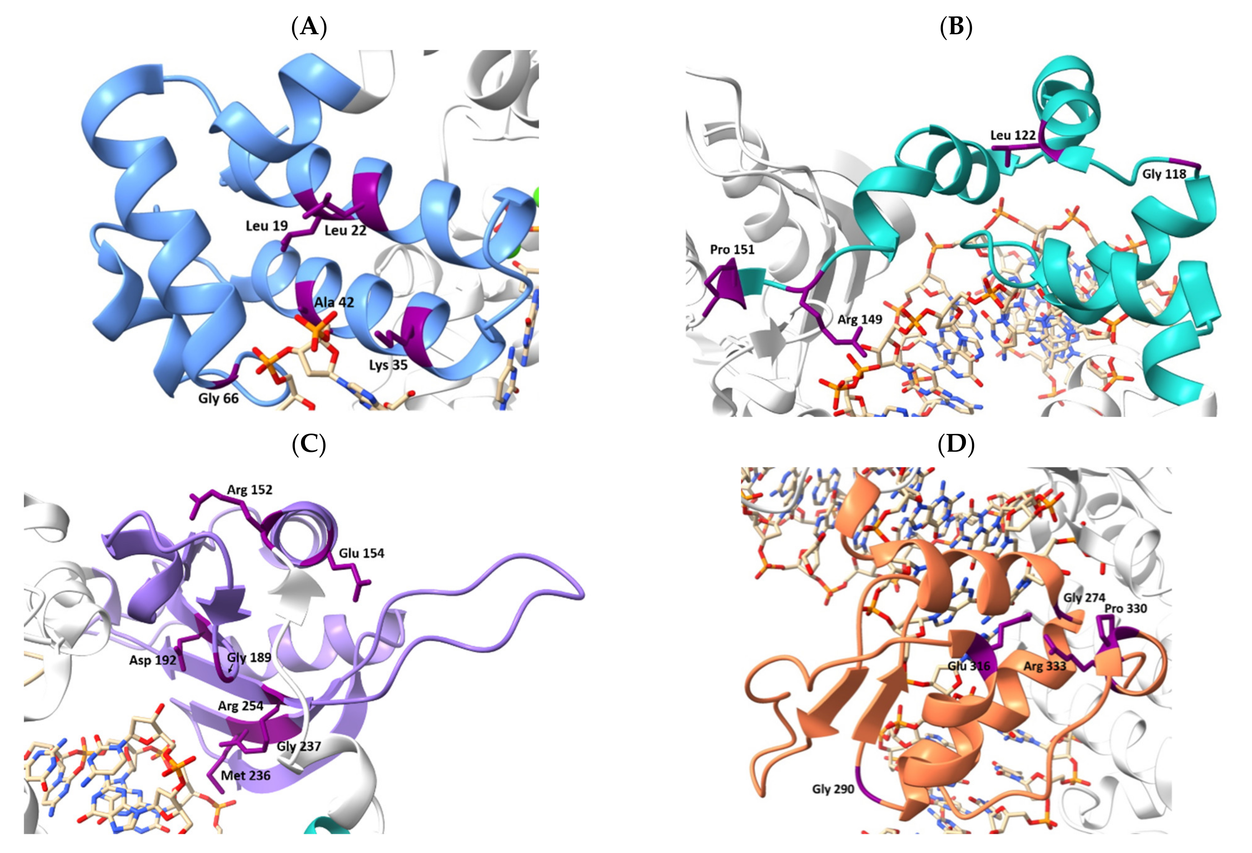 Ijms 23 02390 g004 Ijms 23 02390 g004