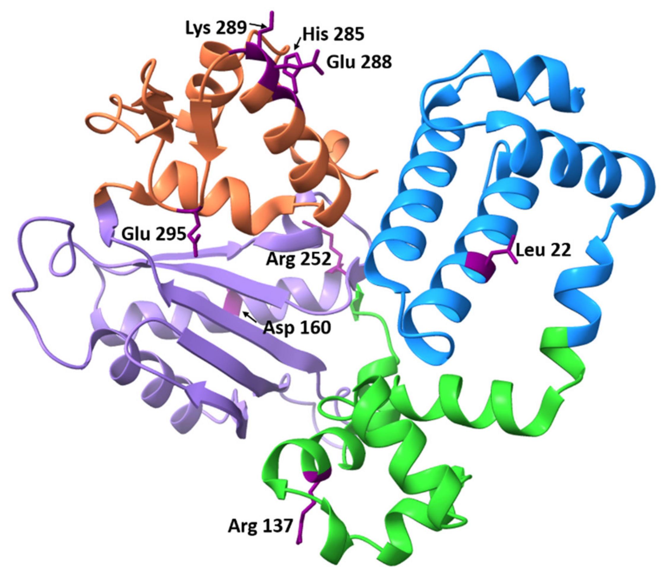 Ijms 23 02390 g005 Ijms 23 02390 g005