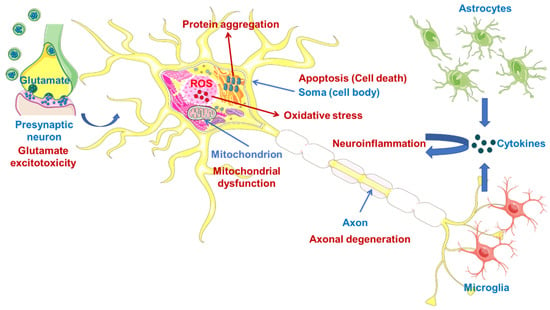 ALS Latest 2017: How Lou Gehrig's Disease Progression Could Be Delayed