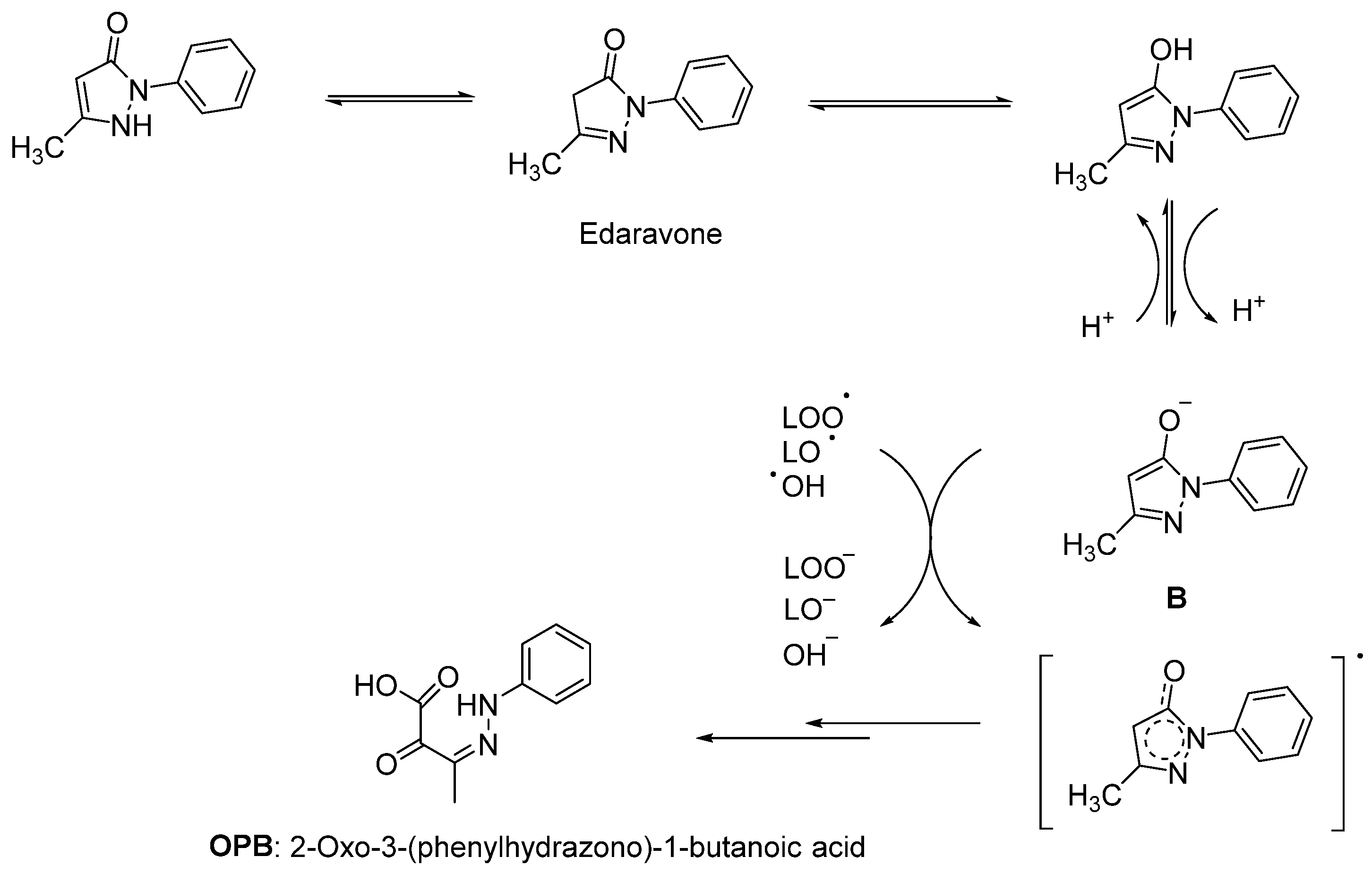 Ijms 23 02400 g003 Ijms 23 02400 g003