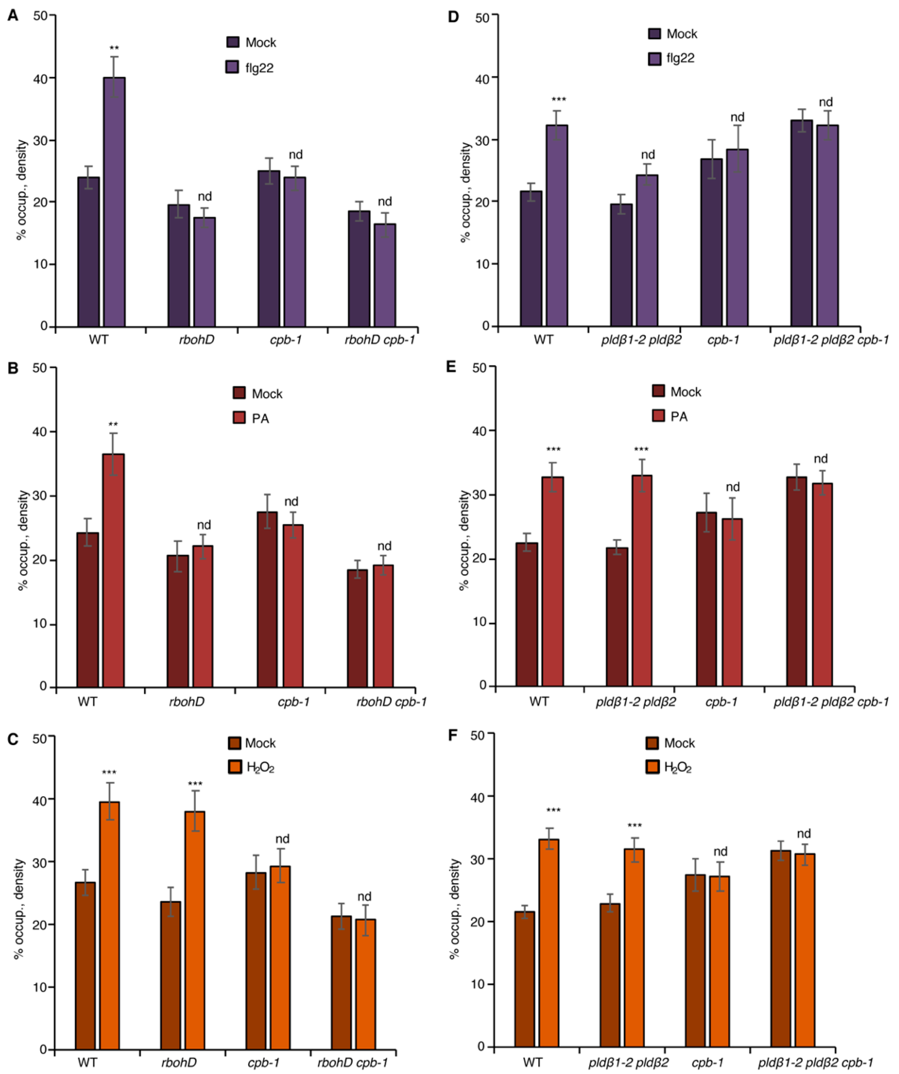 Ijms 23 02447 g005 Ijms 23 02447 g005