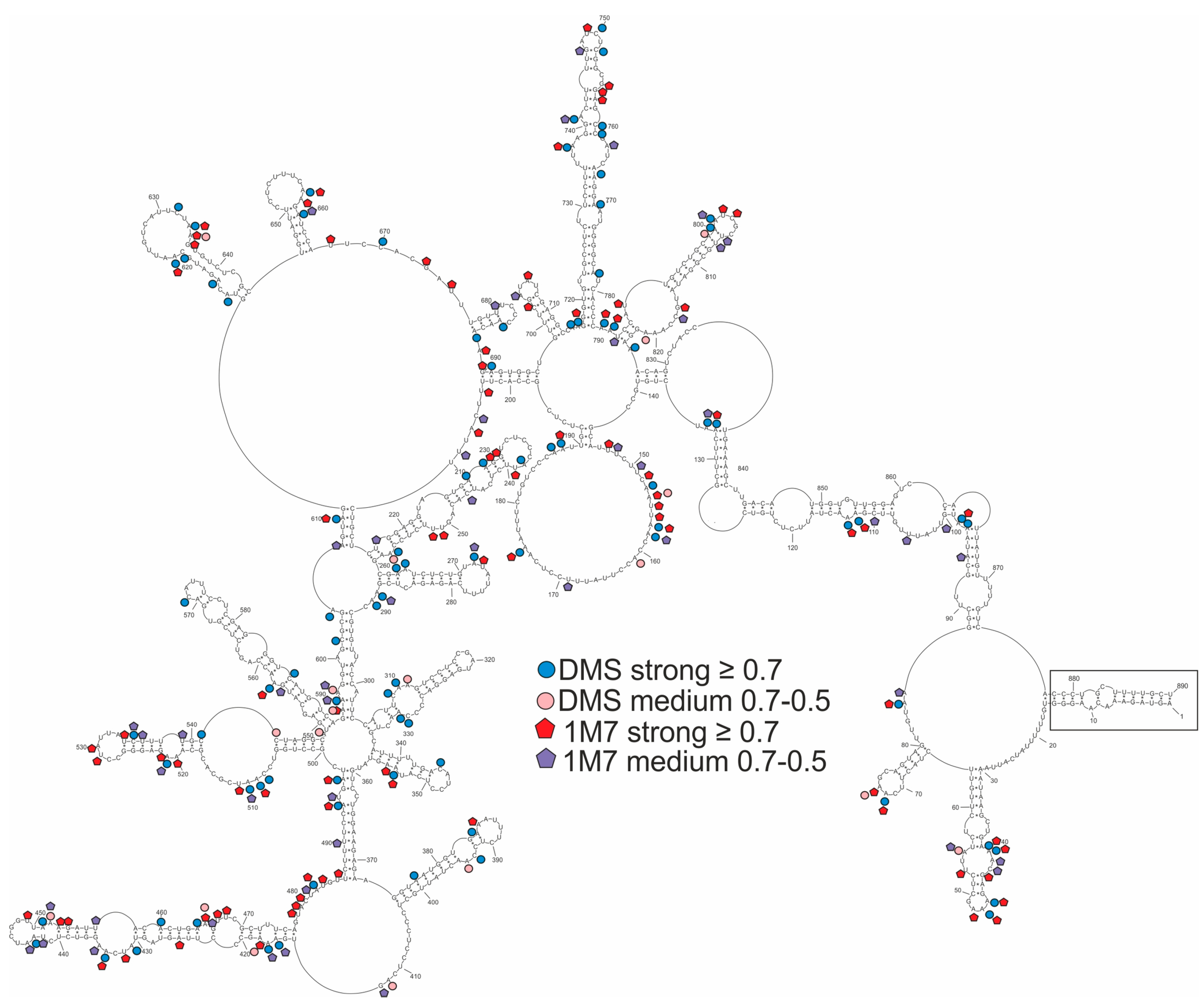 Ijms 23 02452 g002 Ijms 23 02452 g002