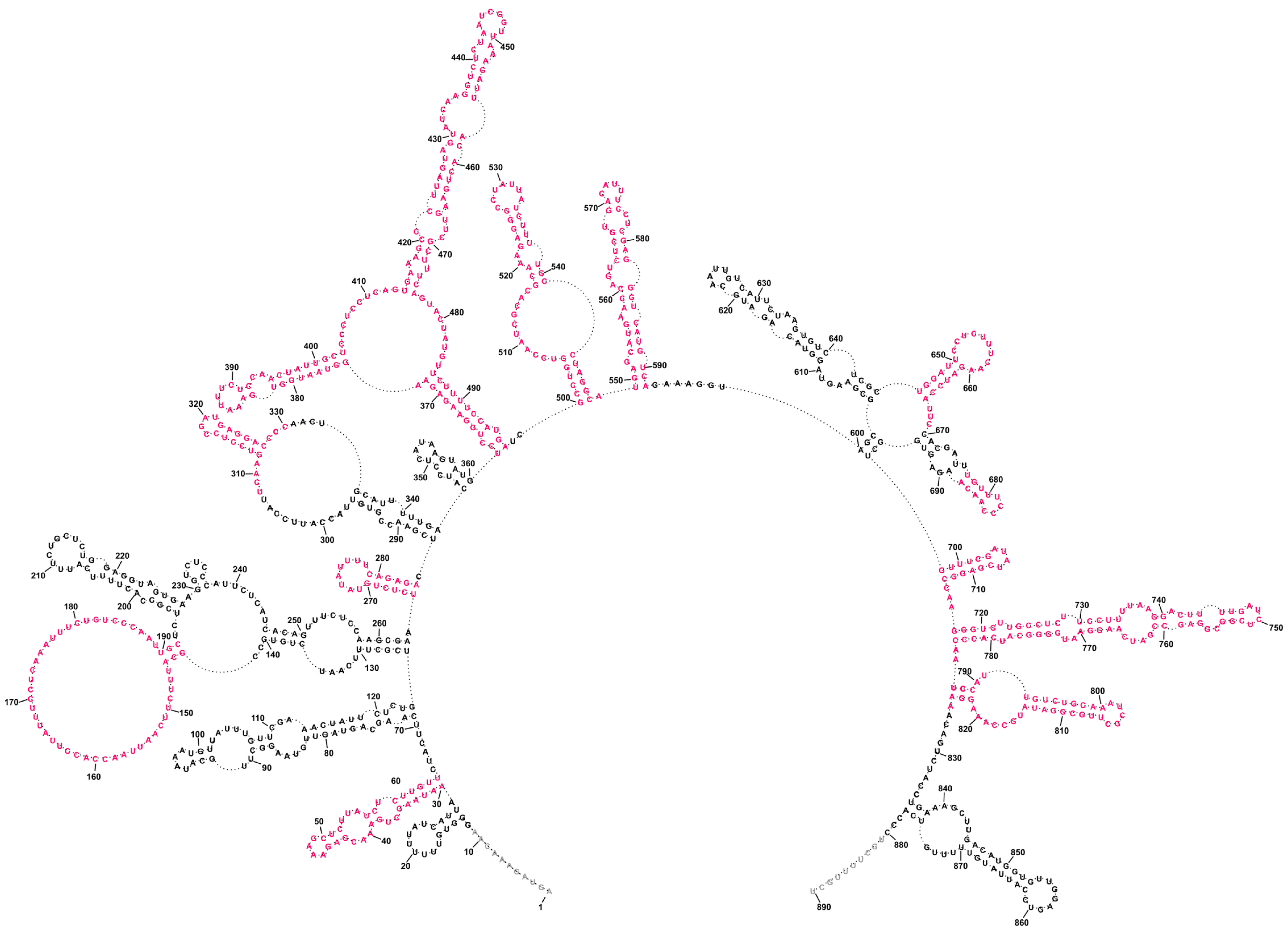 Ijms 23 02452 g003 Ijms 23 02452 g003