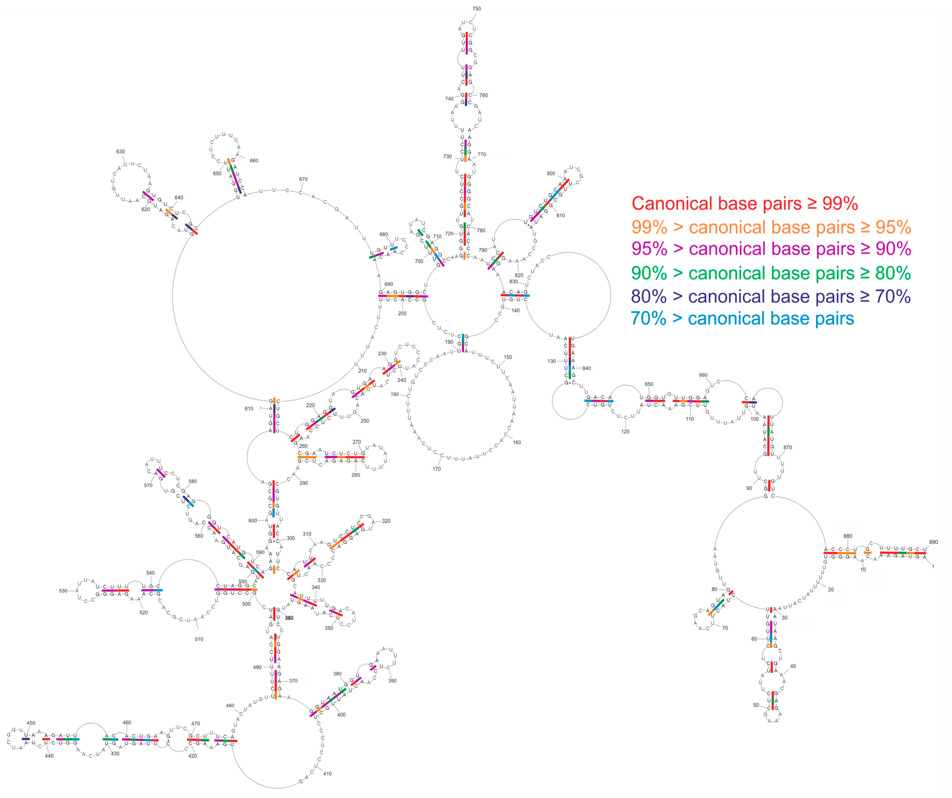 Ijms 23 02452 g007 Ijms 23 02452 g007