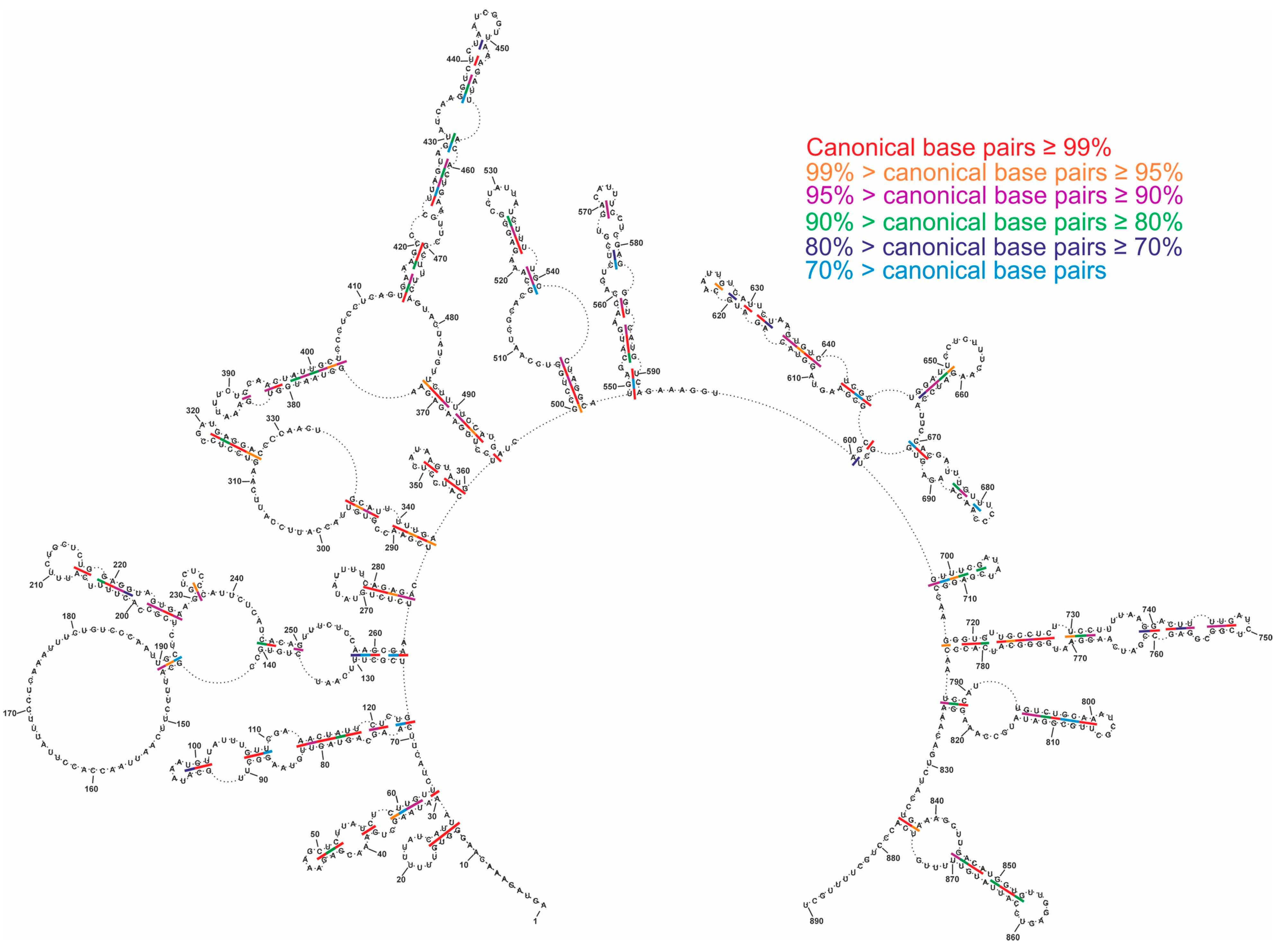 Ijms 23 02452 g008 Ijms 23 02452 g008