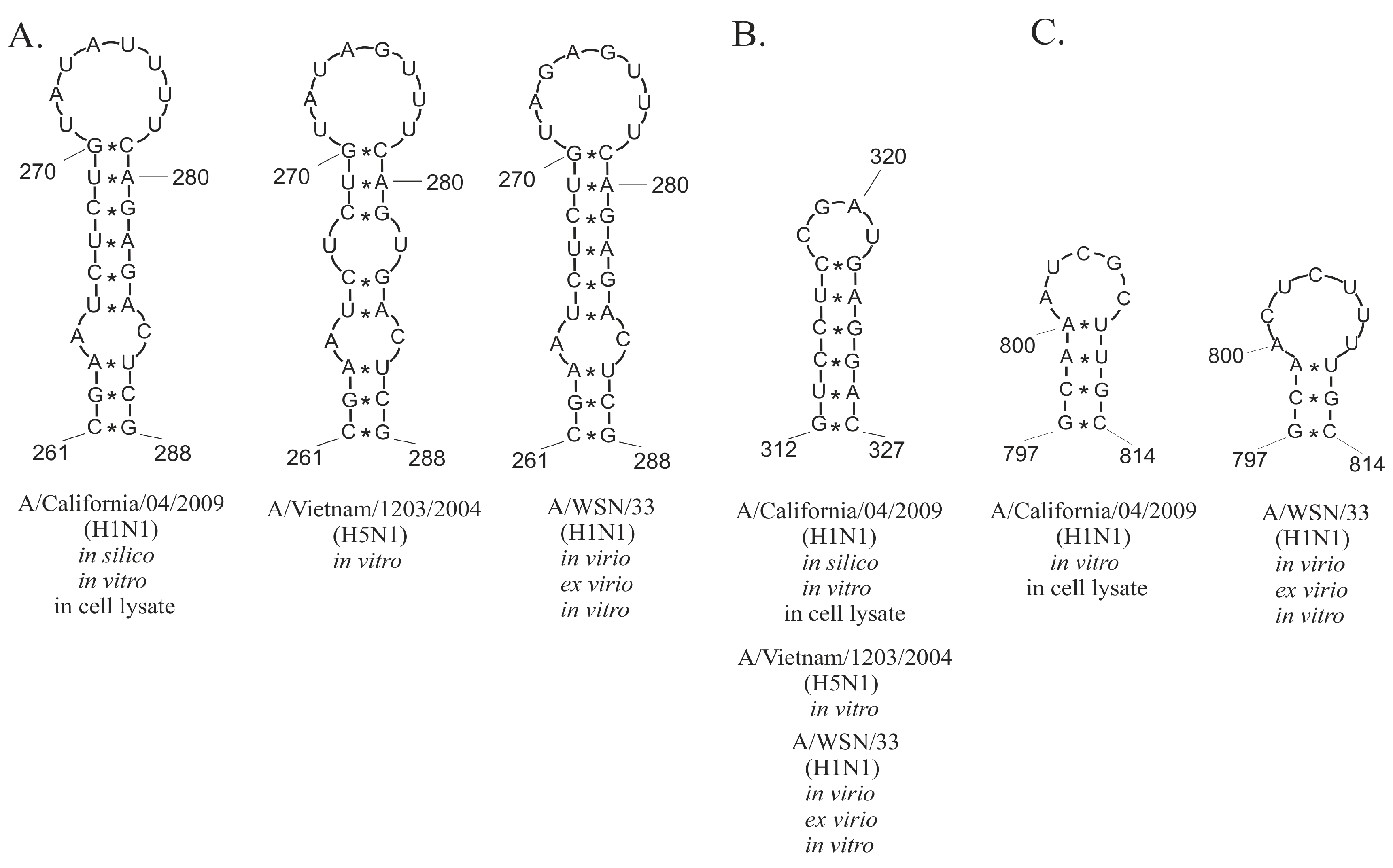 Ijms 23 02452 g009 Ijms 23 02452 g009