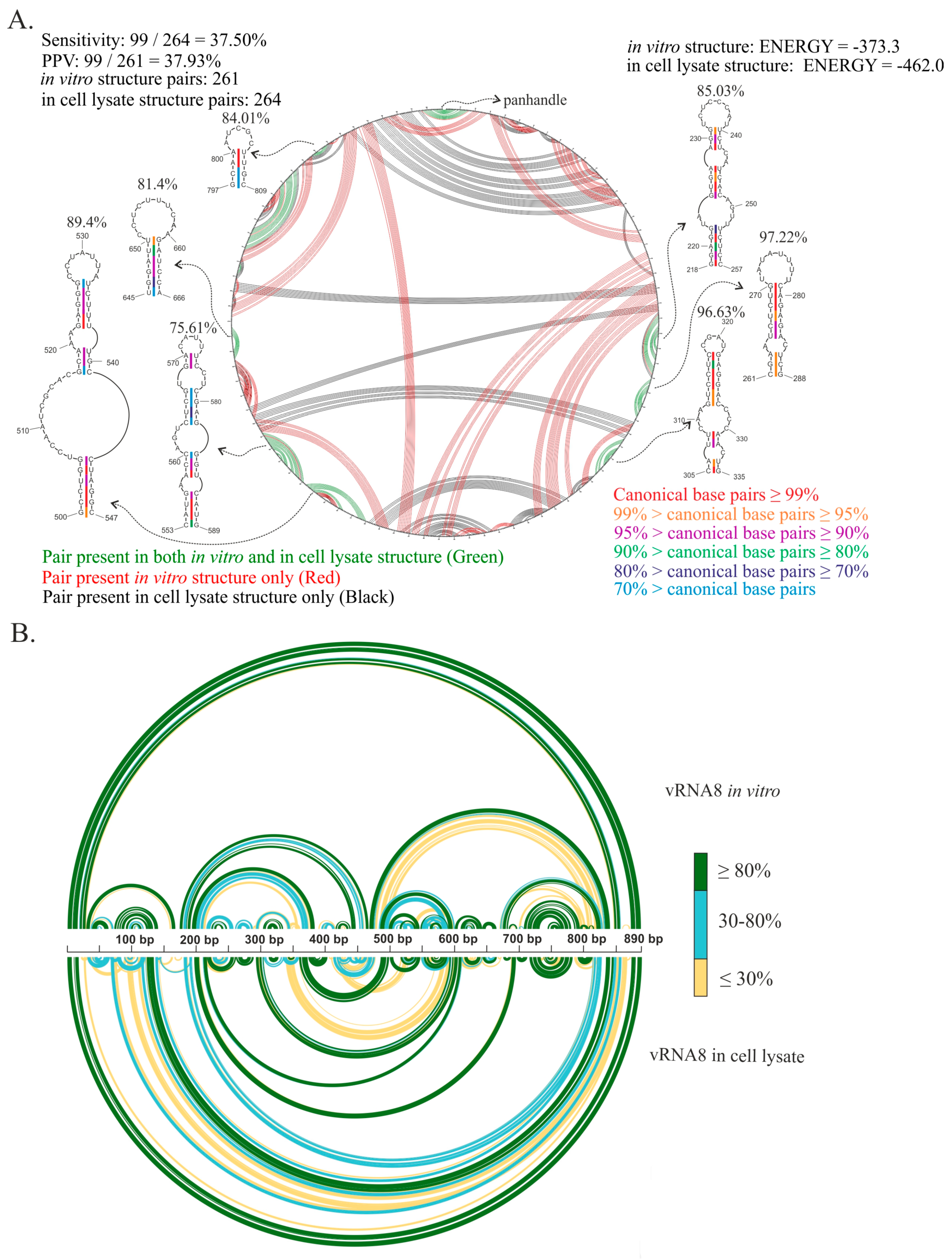 Ijms 23 02452 g010 Ijms 23 02452 g010
