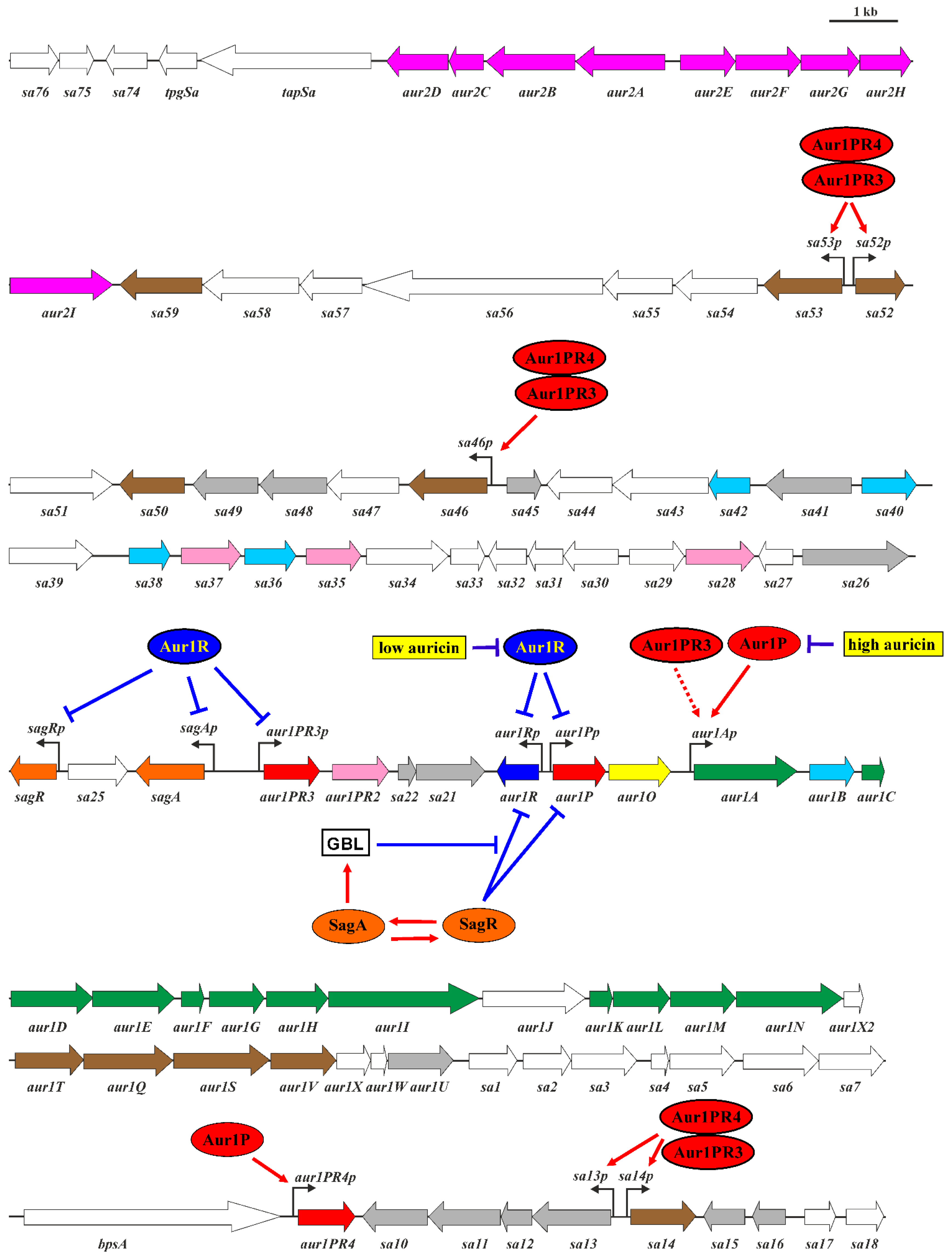 Ijms 23 02455 g001 Ijms 23 02455 g001
