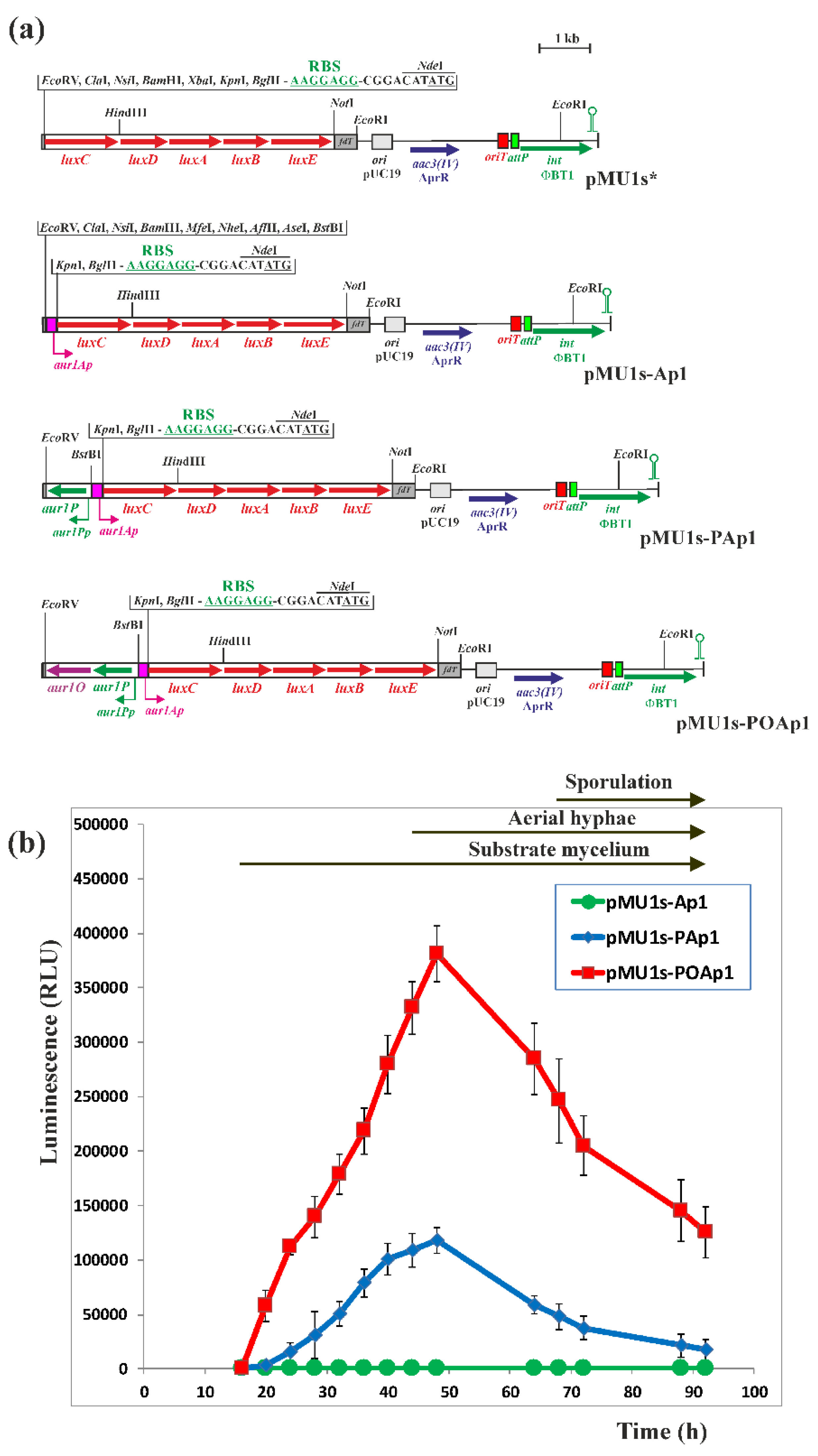 Ijms 23 02455 g005 Ijms 23 02455 g005