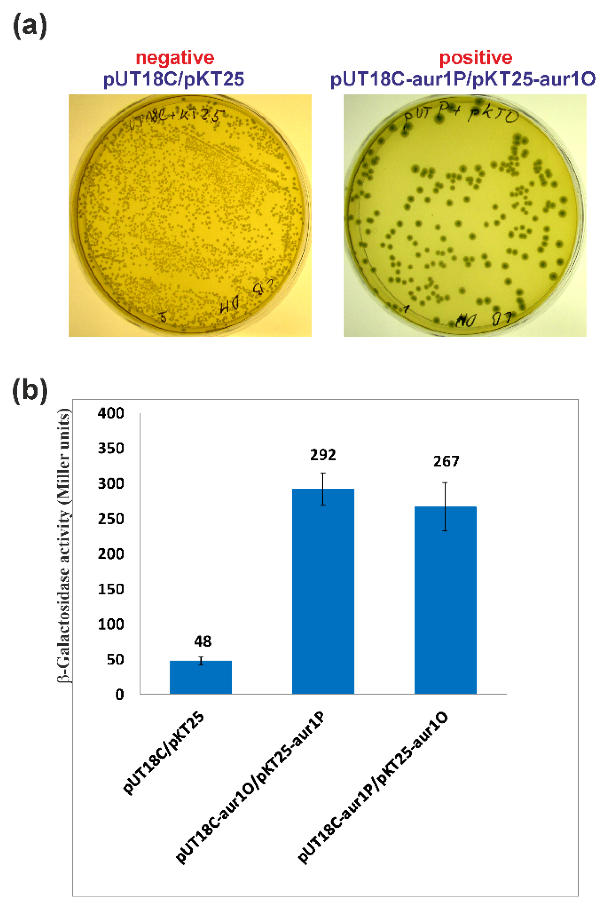 Ijms 23 02455 g006 Ijms 23 02455 g006