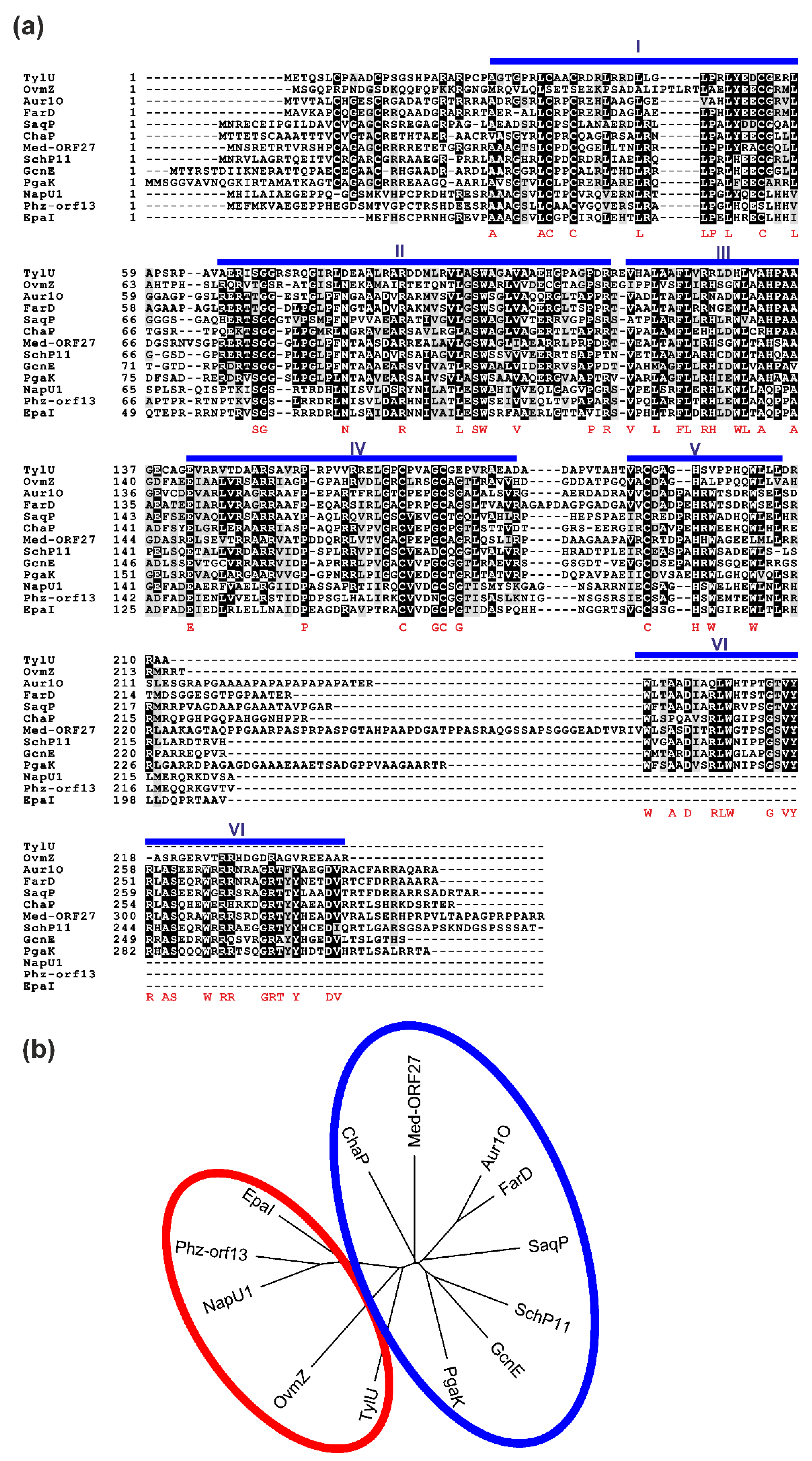 Ijms 23 02455 g007 Ijms 23 02455 g007