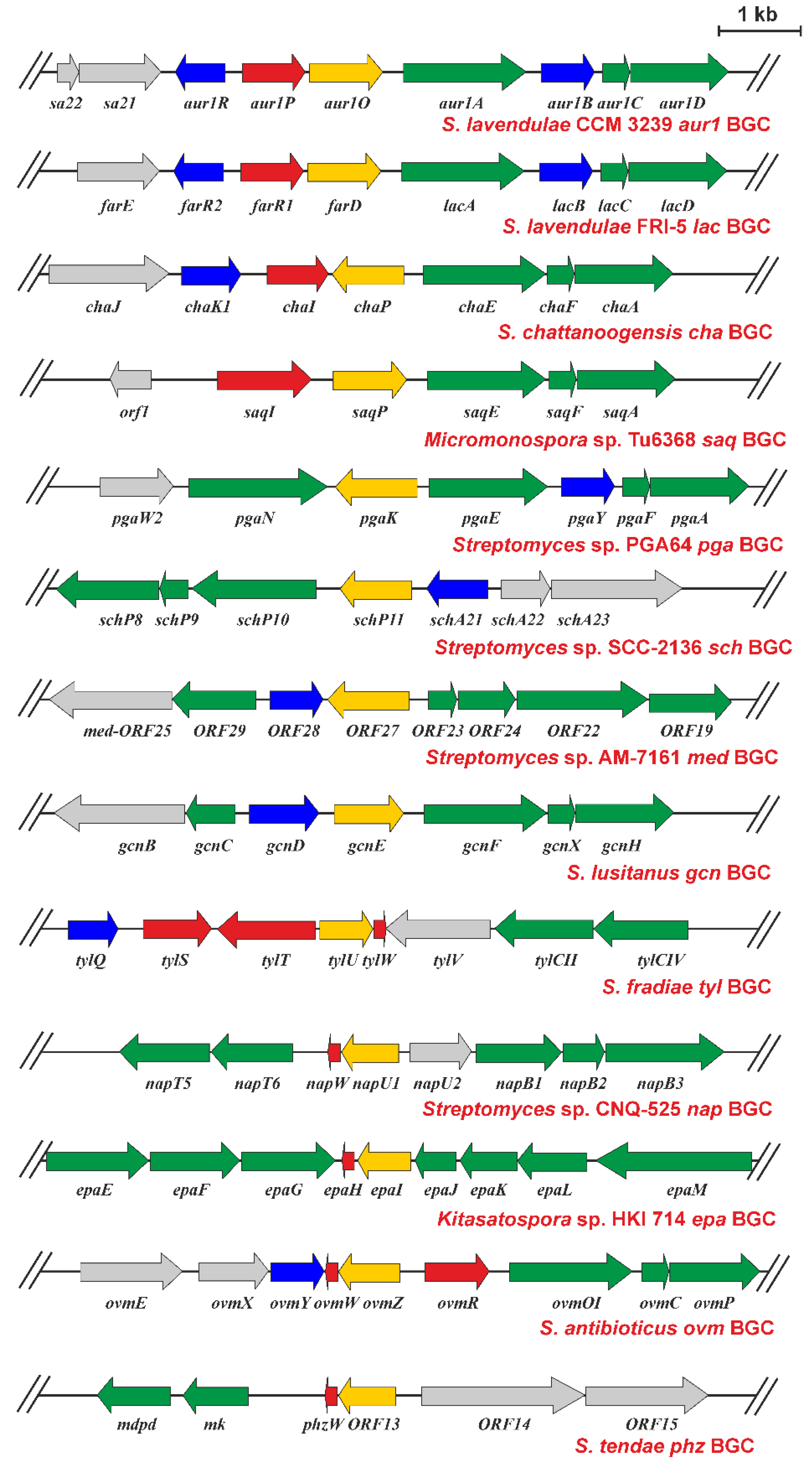 Ijms 23 02455 g008 Ijms 23 02455 g008