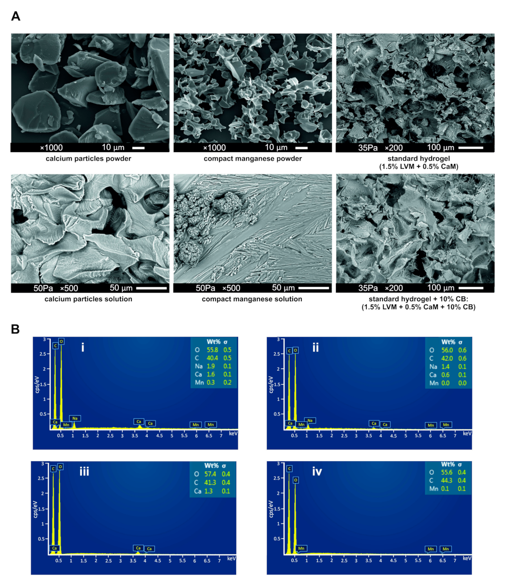 Ijms 23 02465 g005 Ijms 23 02465 g005