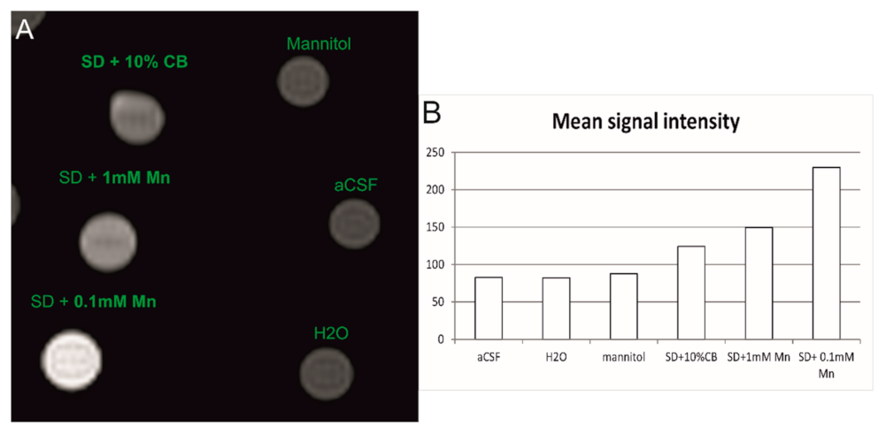 Ijms 23 02465 g008 Ijms 23 02465 g008