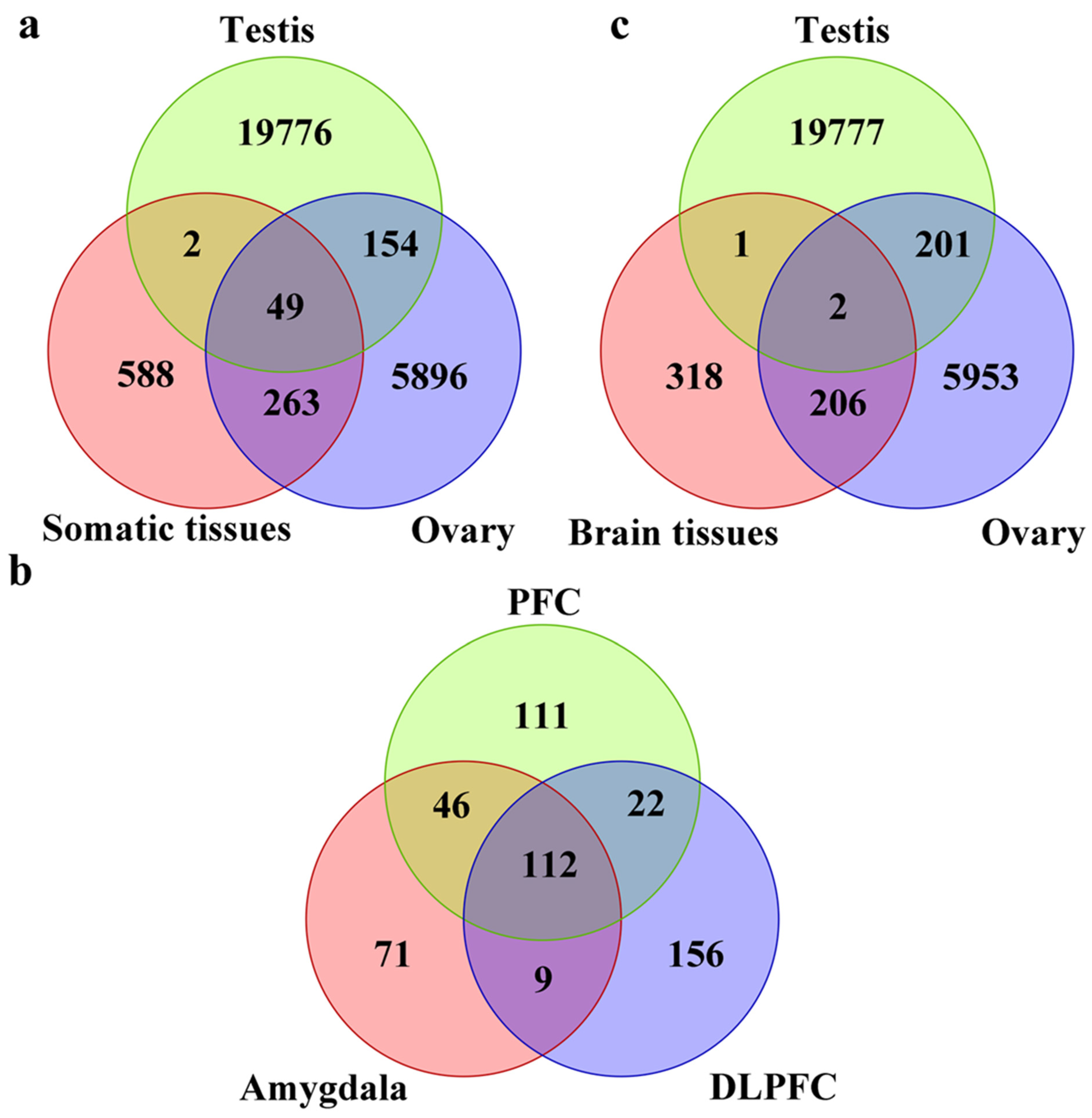 Ijms 23 02469 g002 Ijms 23 02469 g002