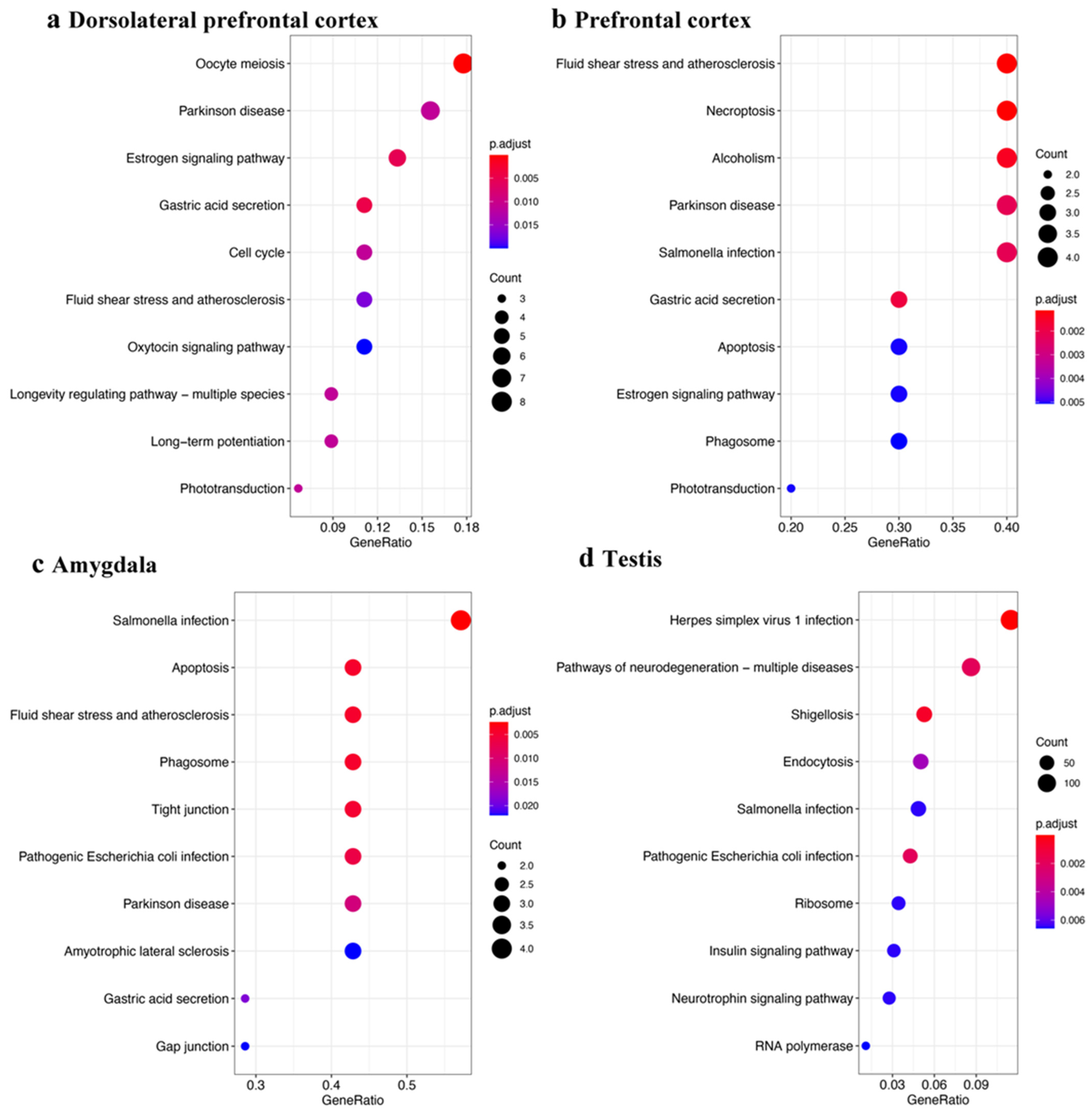 Ijms 23 02469 g005 Ijms 23 02469 g005