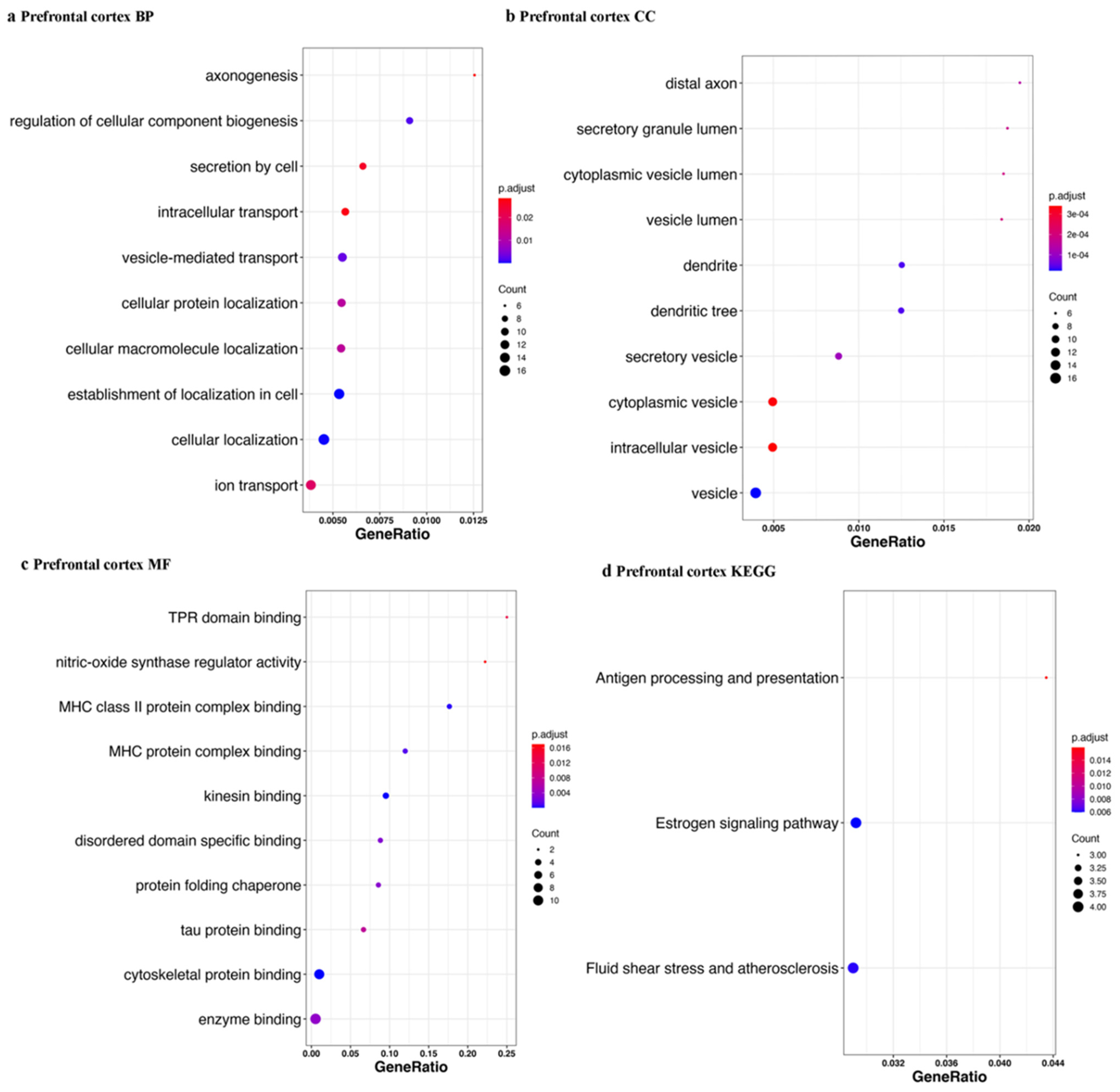 Ijms 23 02469 g010a Ijms 23 02469 g010a