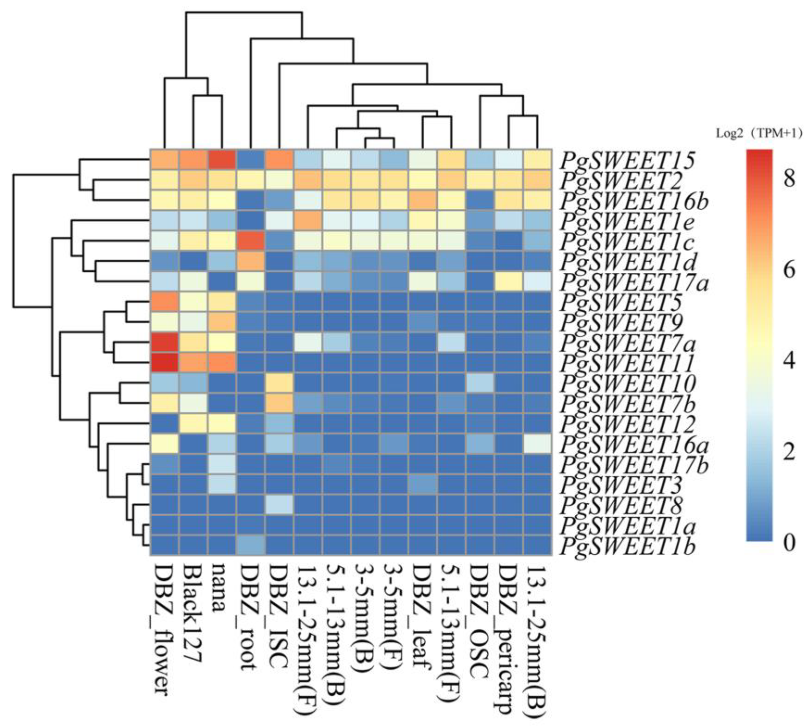 IJMS | Free Full-Text | Identification, Analysis and Gene Cloning of ...