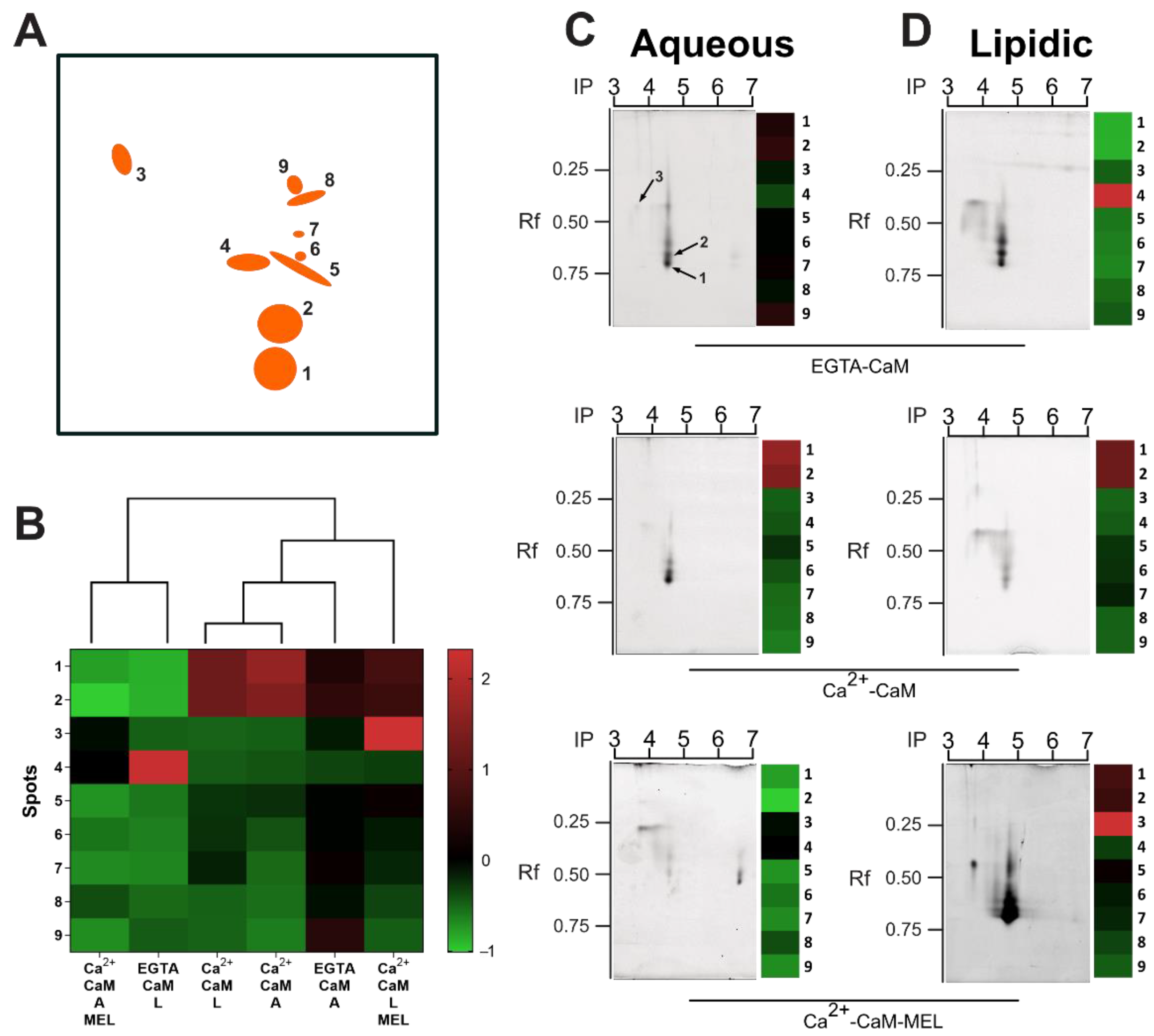Ijms 23 02479 g003 Ijms 23 02479 g003