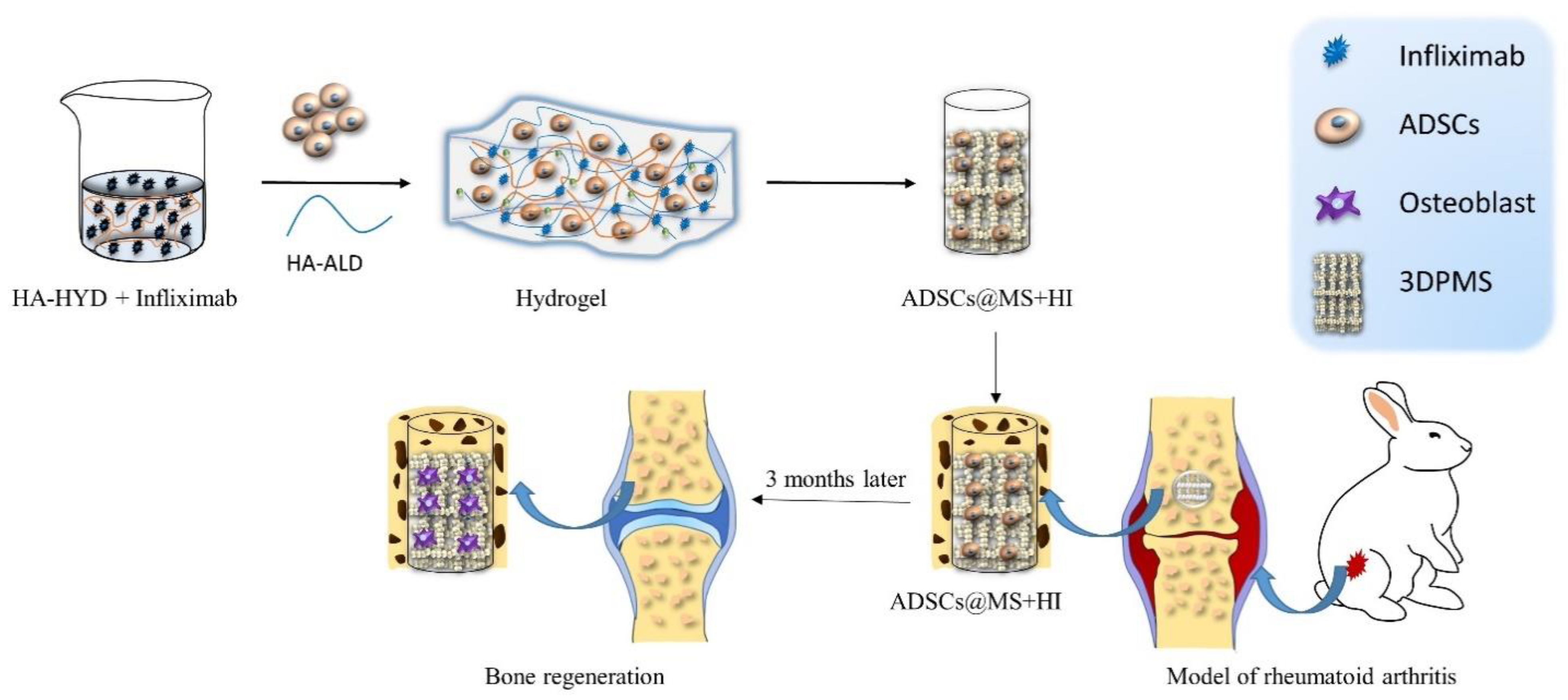 Visual Analogue Scale(VAS) is one - ReGen Rehab Hospital