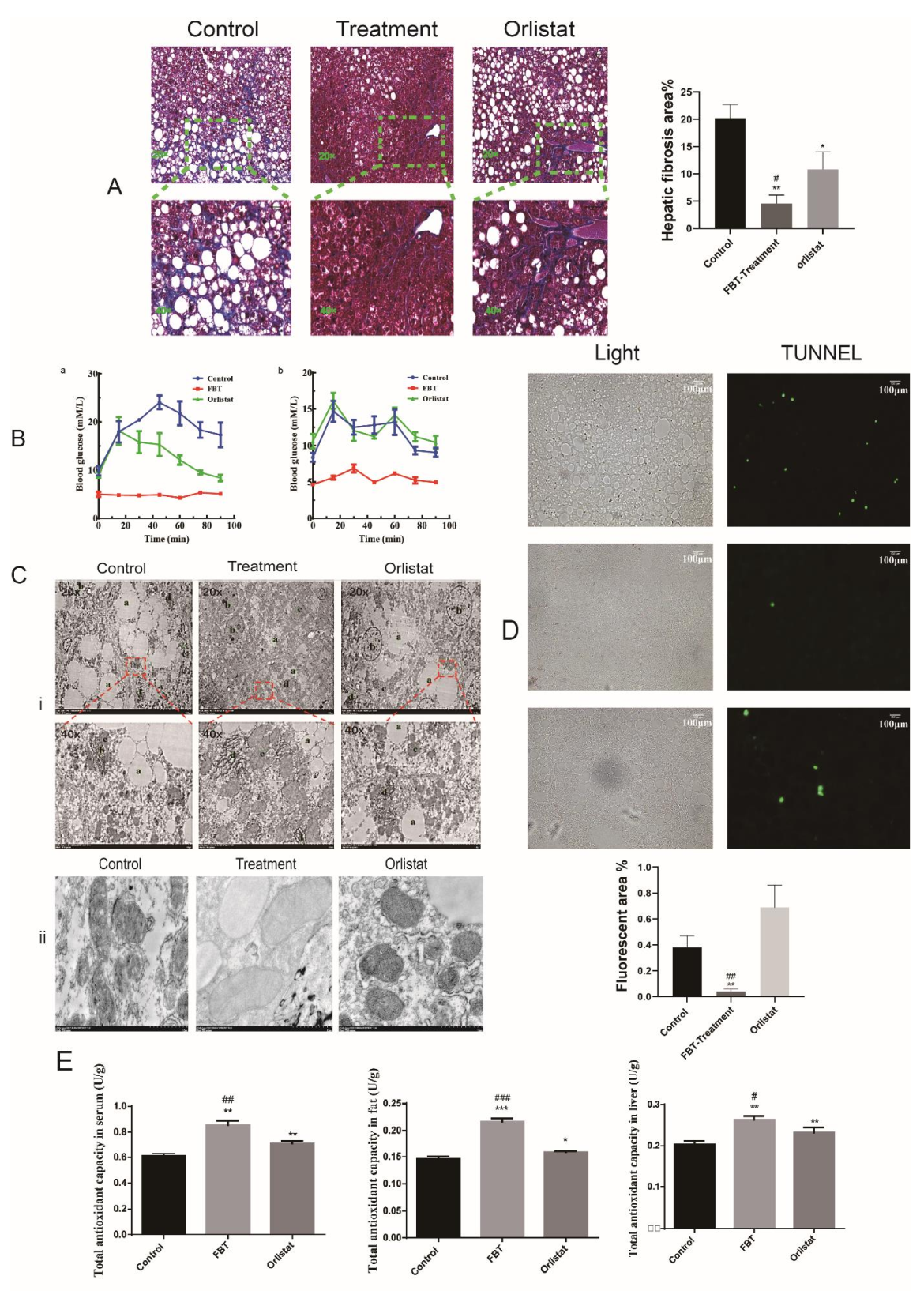 Ijms 23 02525 g006