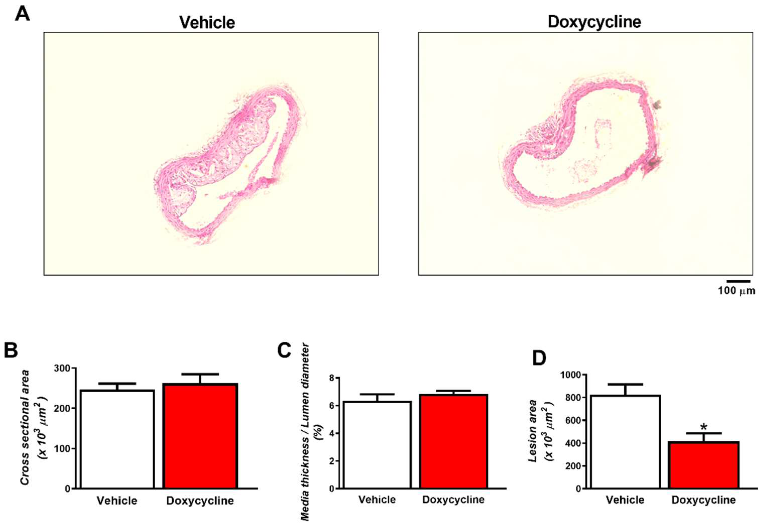 Ijms 23 02532 g001 Ijms 23 02532 g001