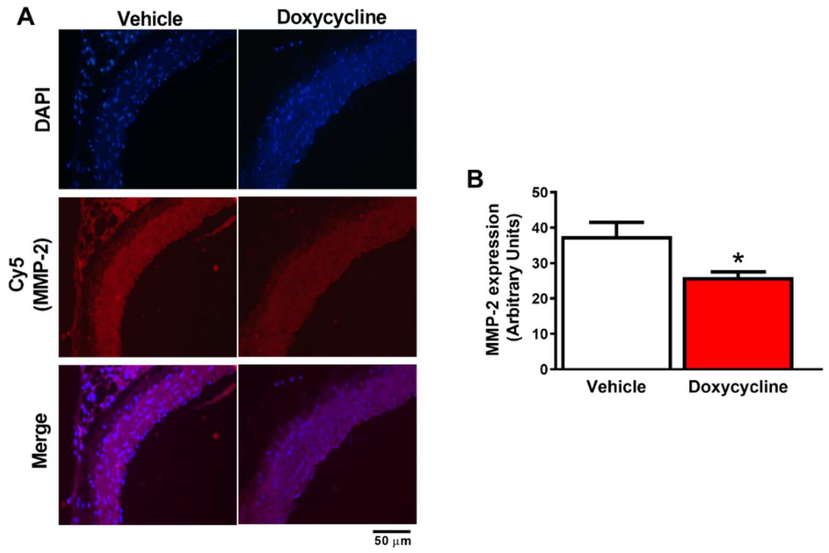 Ijms 23 02532 g003 Ijms 23 02532 g003