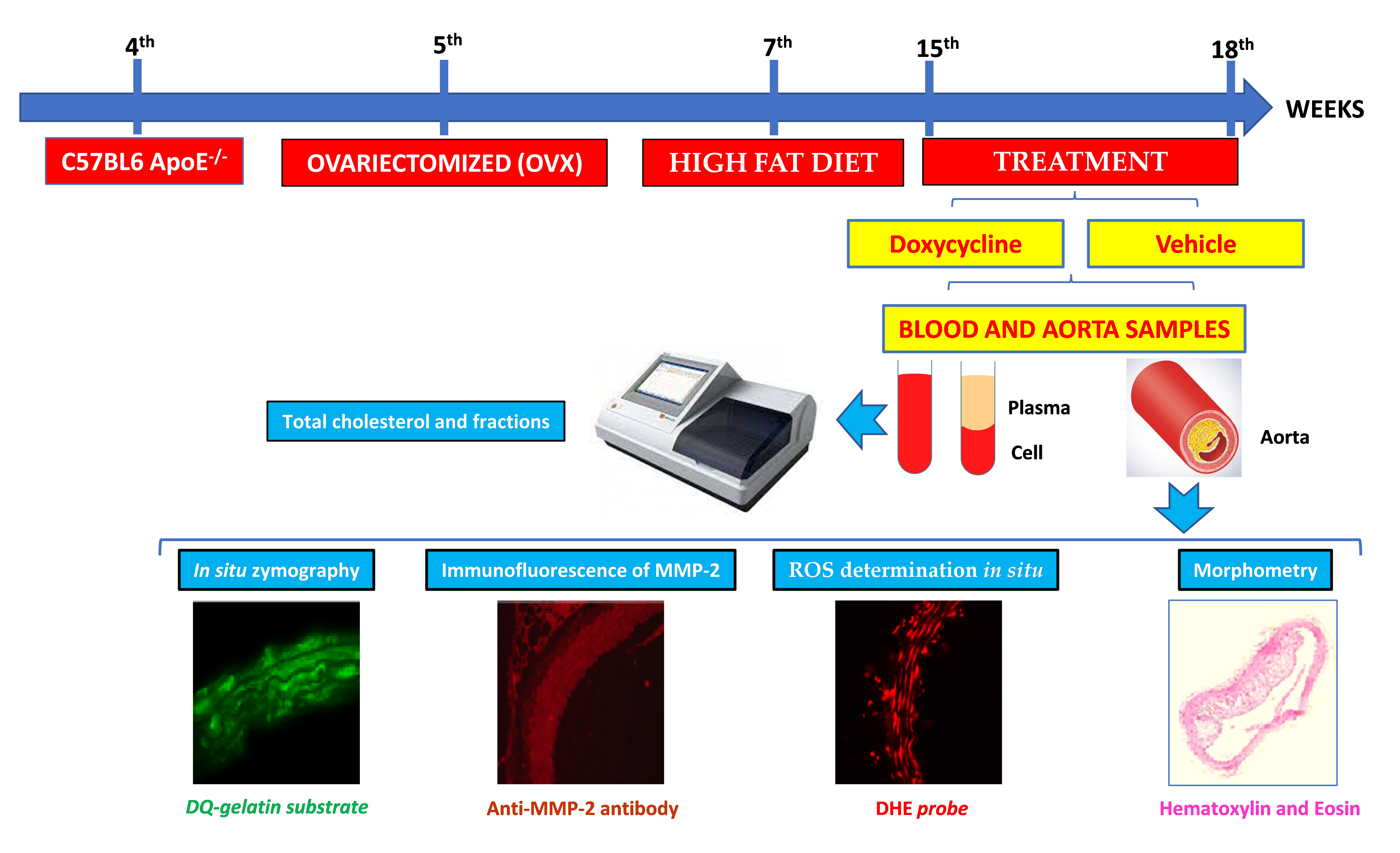 Ijms 23 02532 g006 Ijms 23 02532 g006