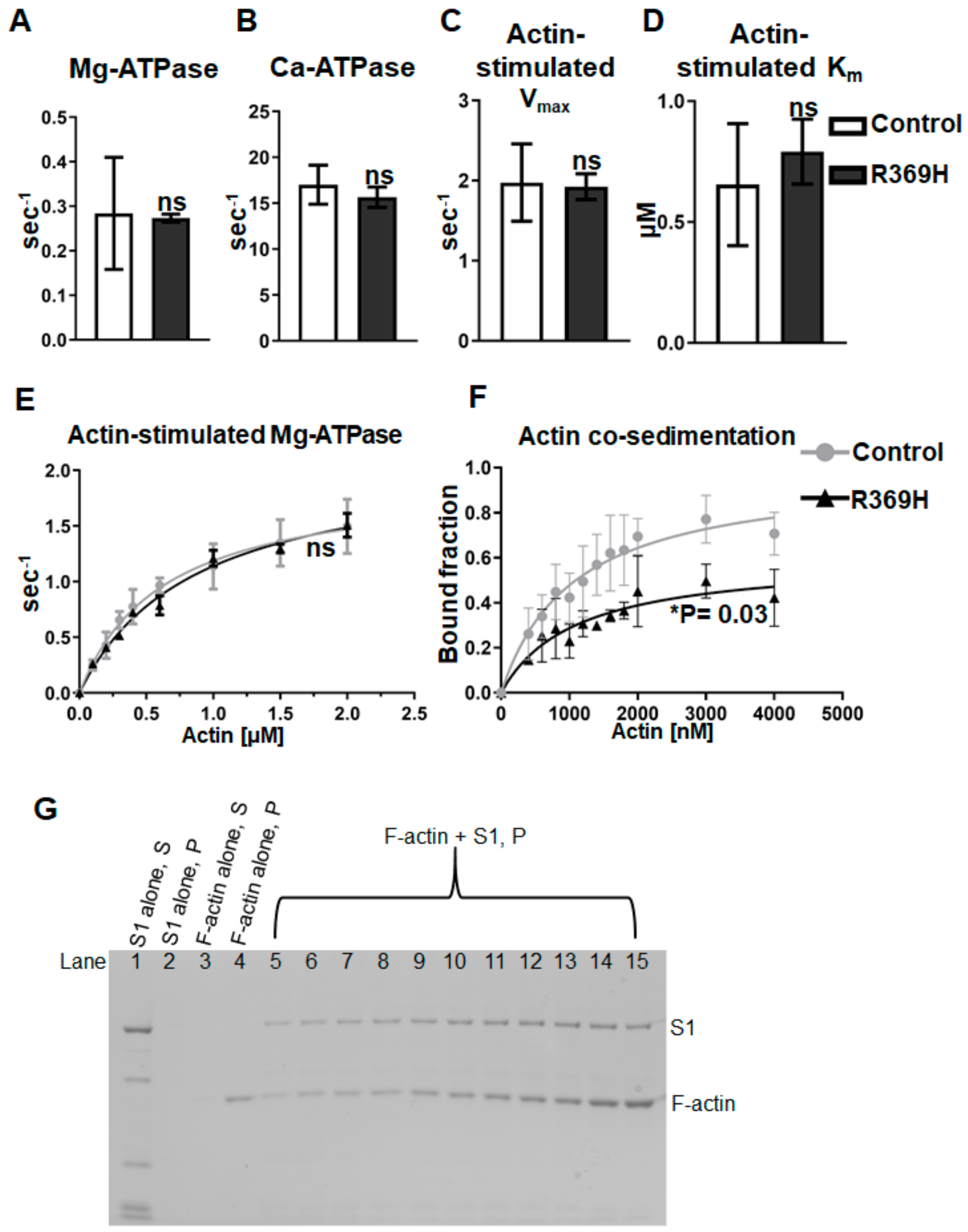 Ijms 23 02533 g002 Ijms 23 02533 g002