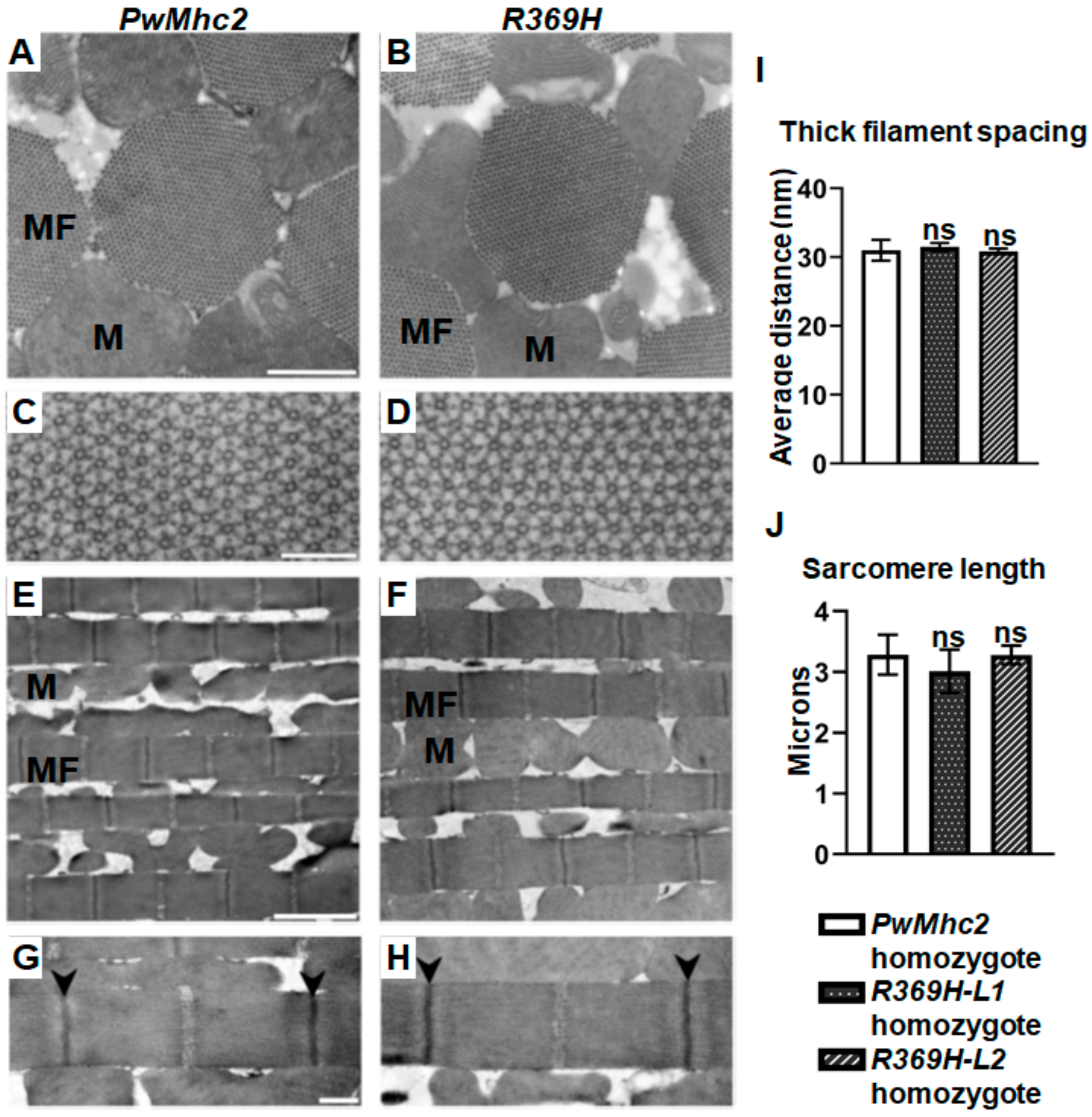 Ijms 23 02533 g004 Ijms 23 02533 g004