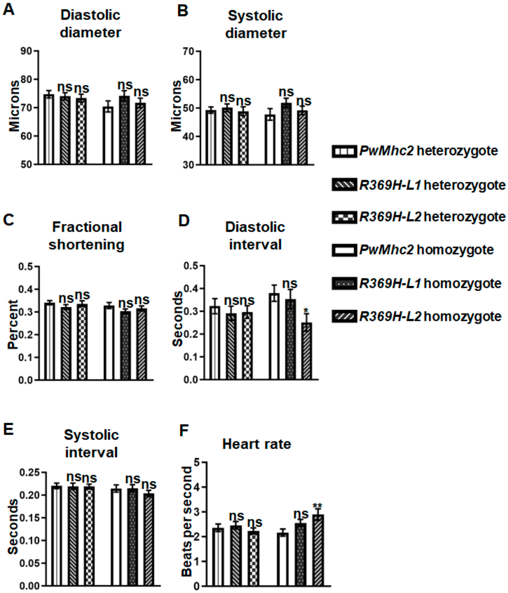 Ijms 23 02533 g005 Ijms 23 02533 g005