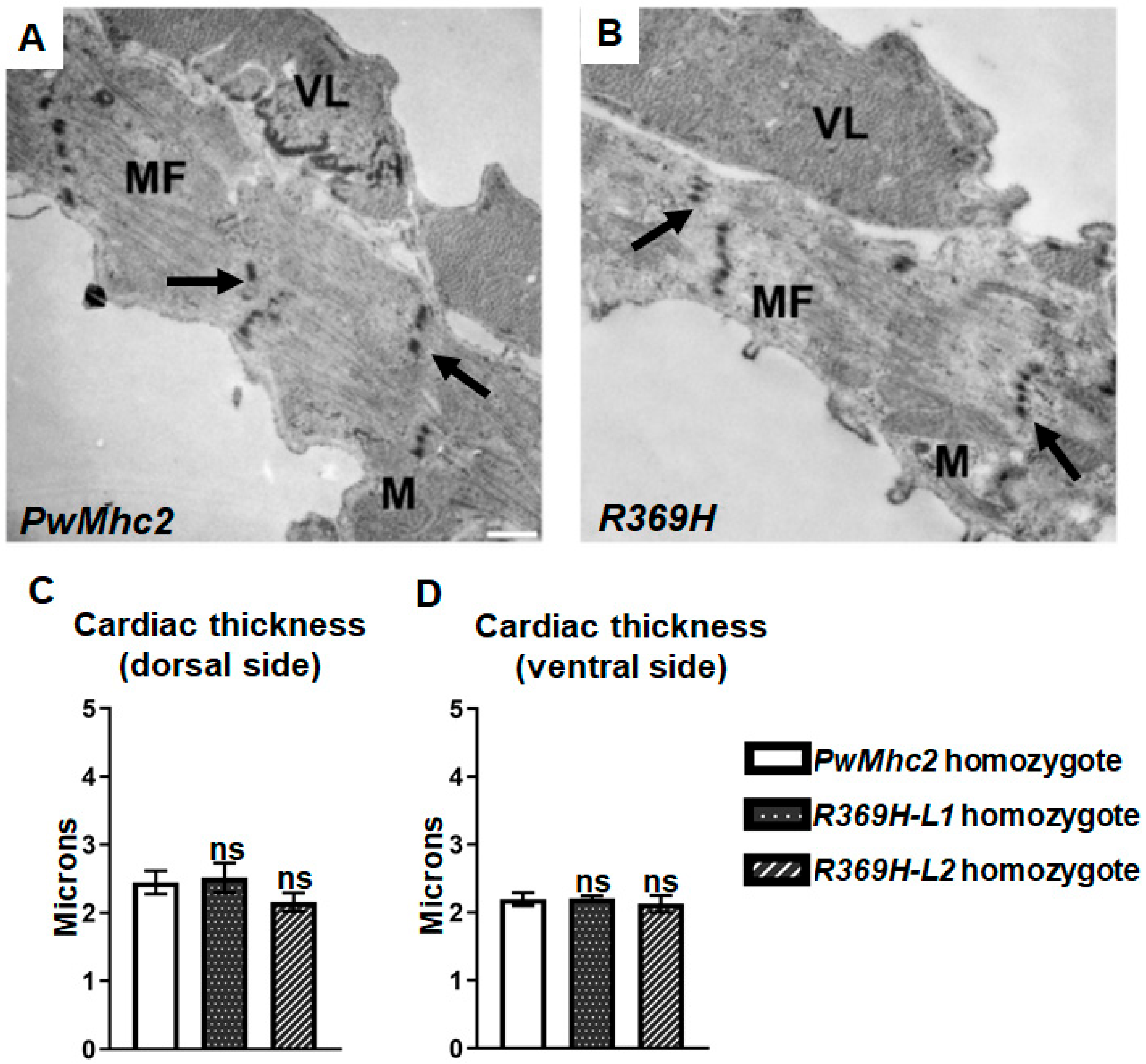 Ijms 23 02533 g006 Ijms 23 02533 g006