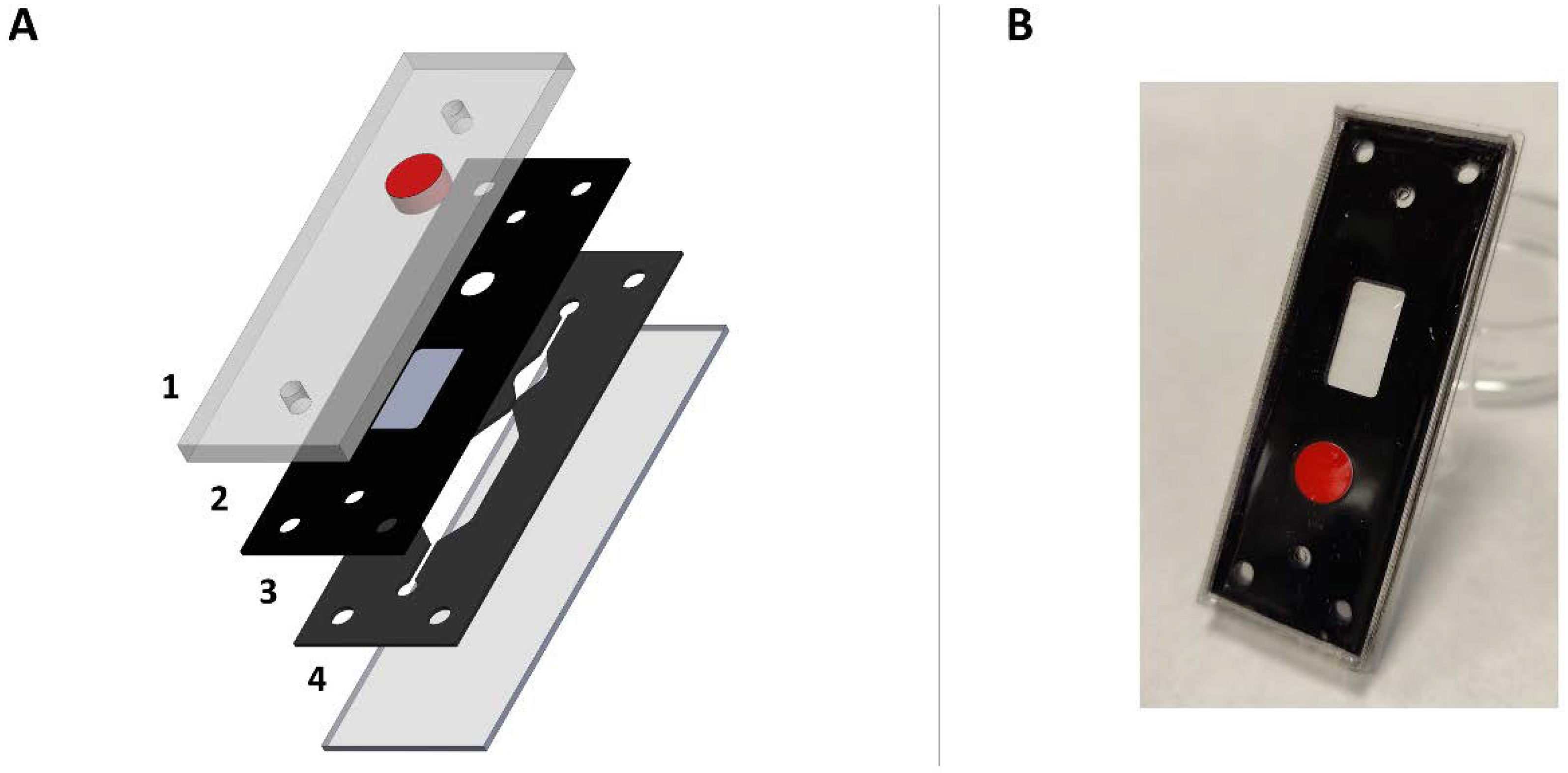 Ijms 23 02549 g001 Ijms 23 02549 g001