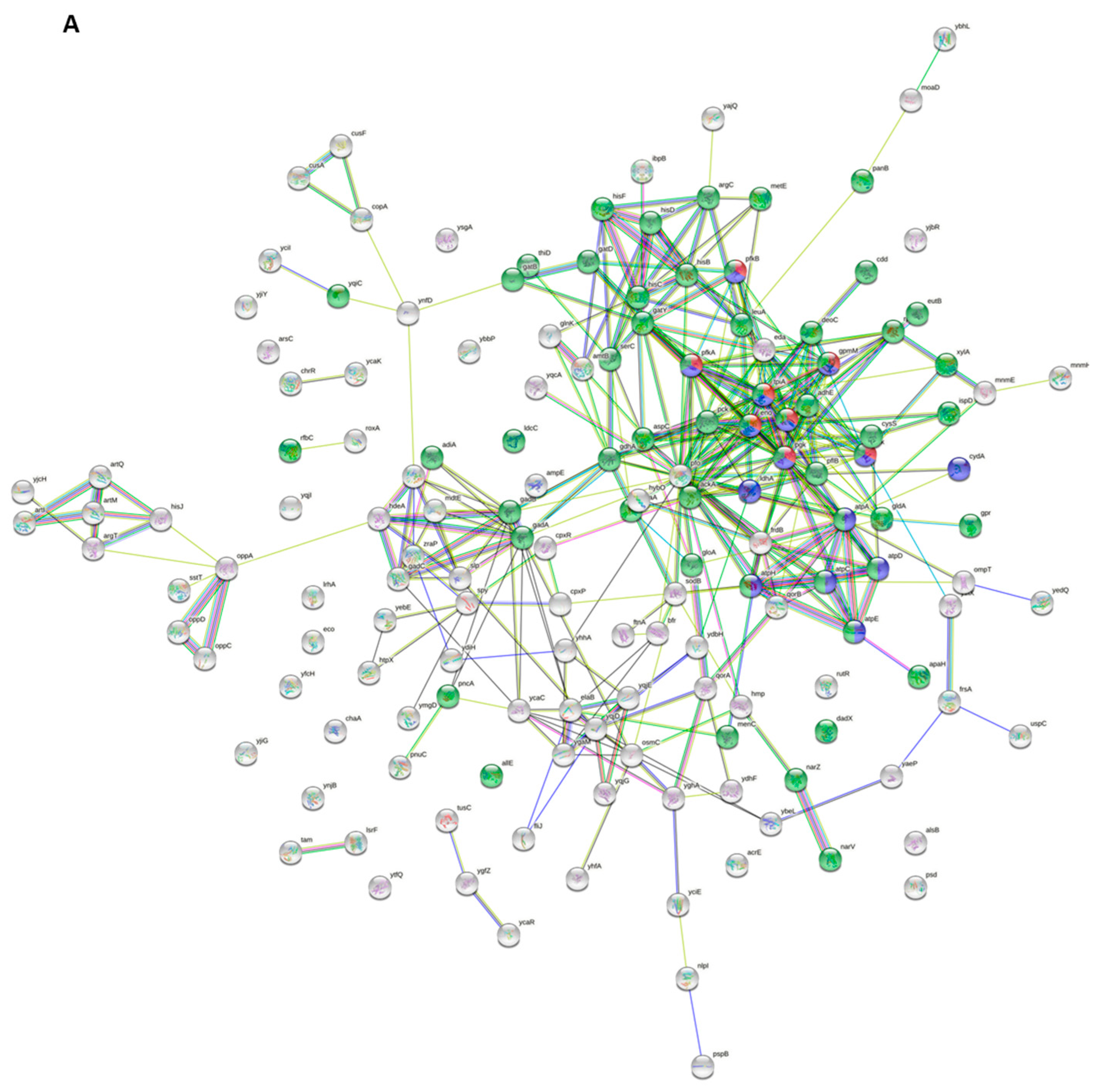 Ijms 23 02570 g006a Ijms 23 02570 g006a