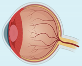 Ijms 23 02591 i002 Ijms 23 02591 i002