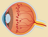 Ijms 23 02591 i005 Ijms 23 02591 i005