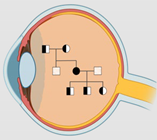 Ijms 23 02591 i009 Ijms 23 02591 i009