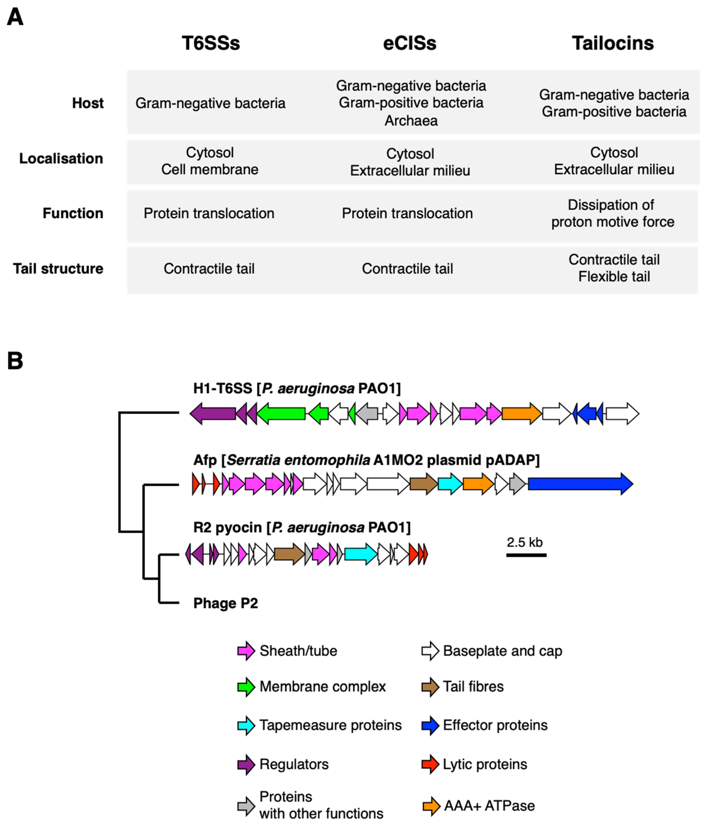 https://www.mdpi.com/ijms/ijms-23-02595/article_deploy/html/images/ijms-23-02595-g001.png