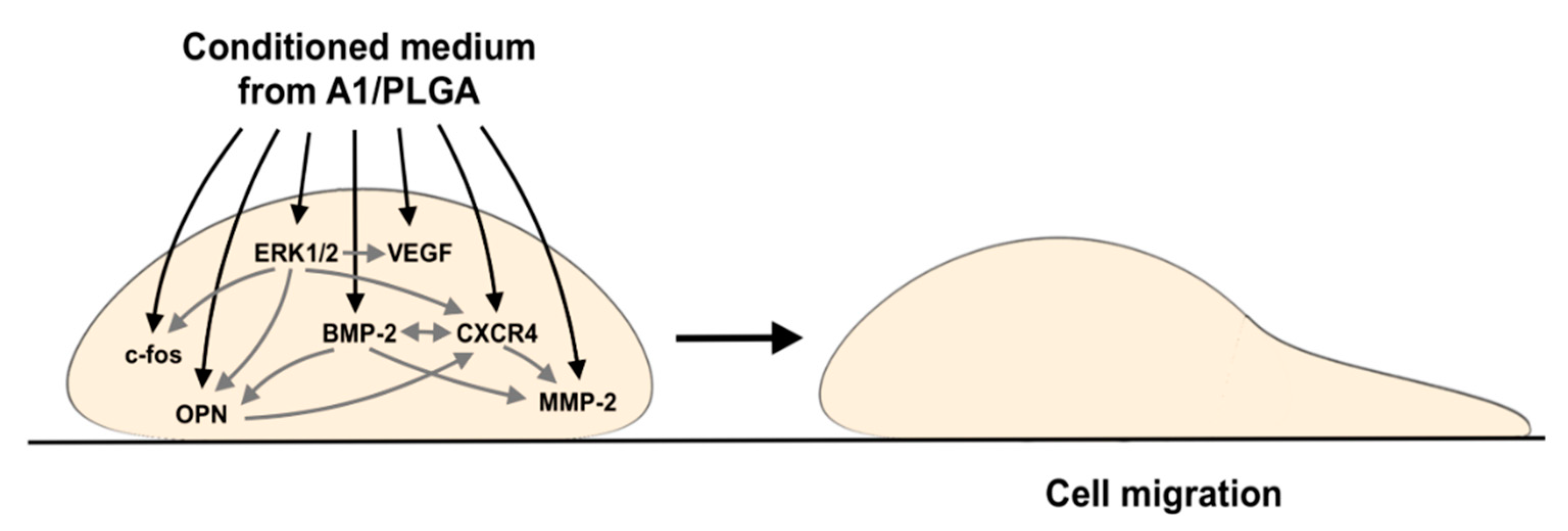 Ijms 23 02598 sch001