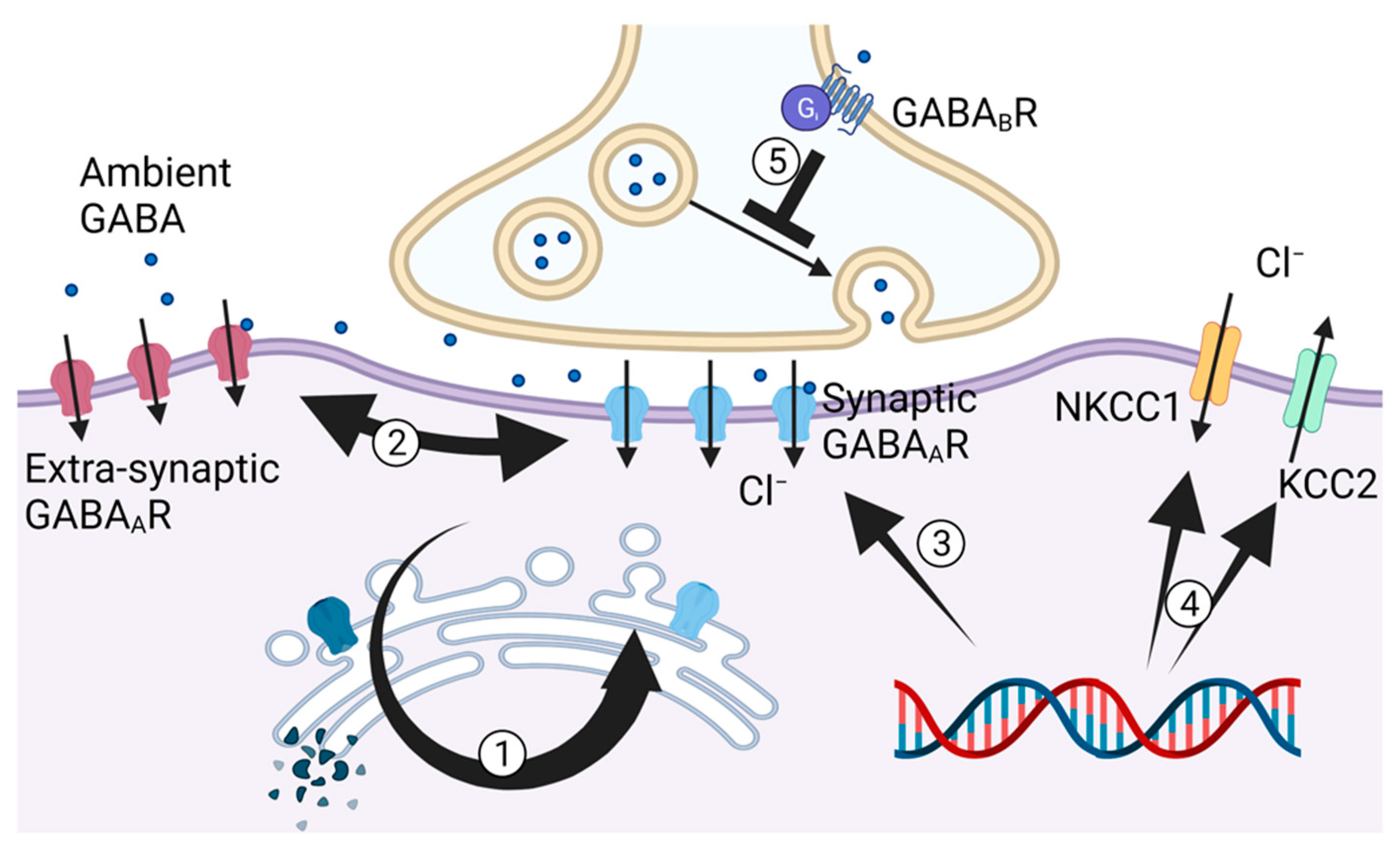Ijms 23 02606 g002 Ijms 23 02606 g002