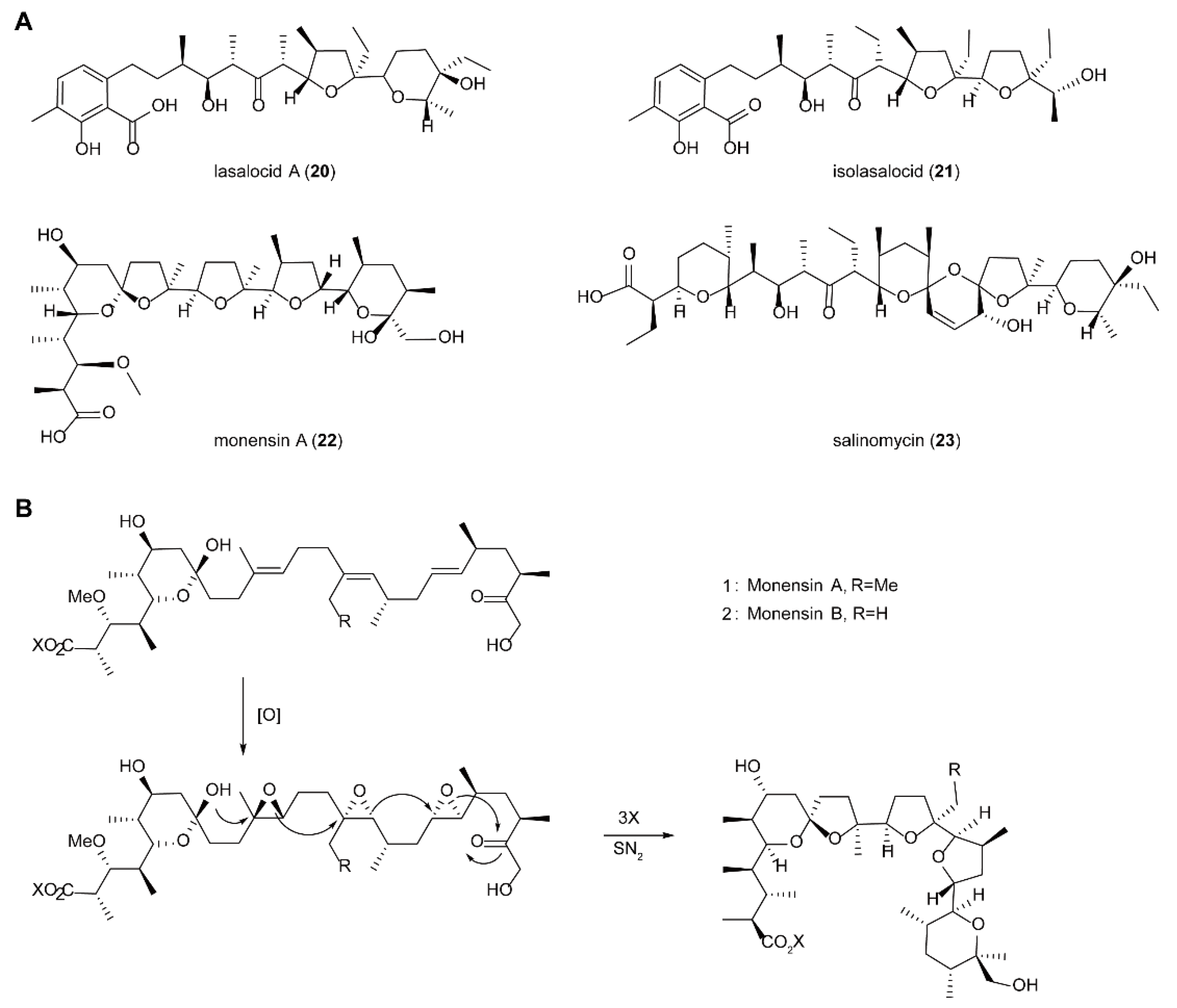 Ijms 23 02622 sch008 Ijms 23 02622 sch008