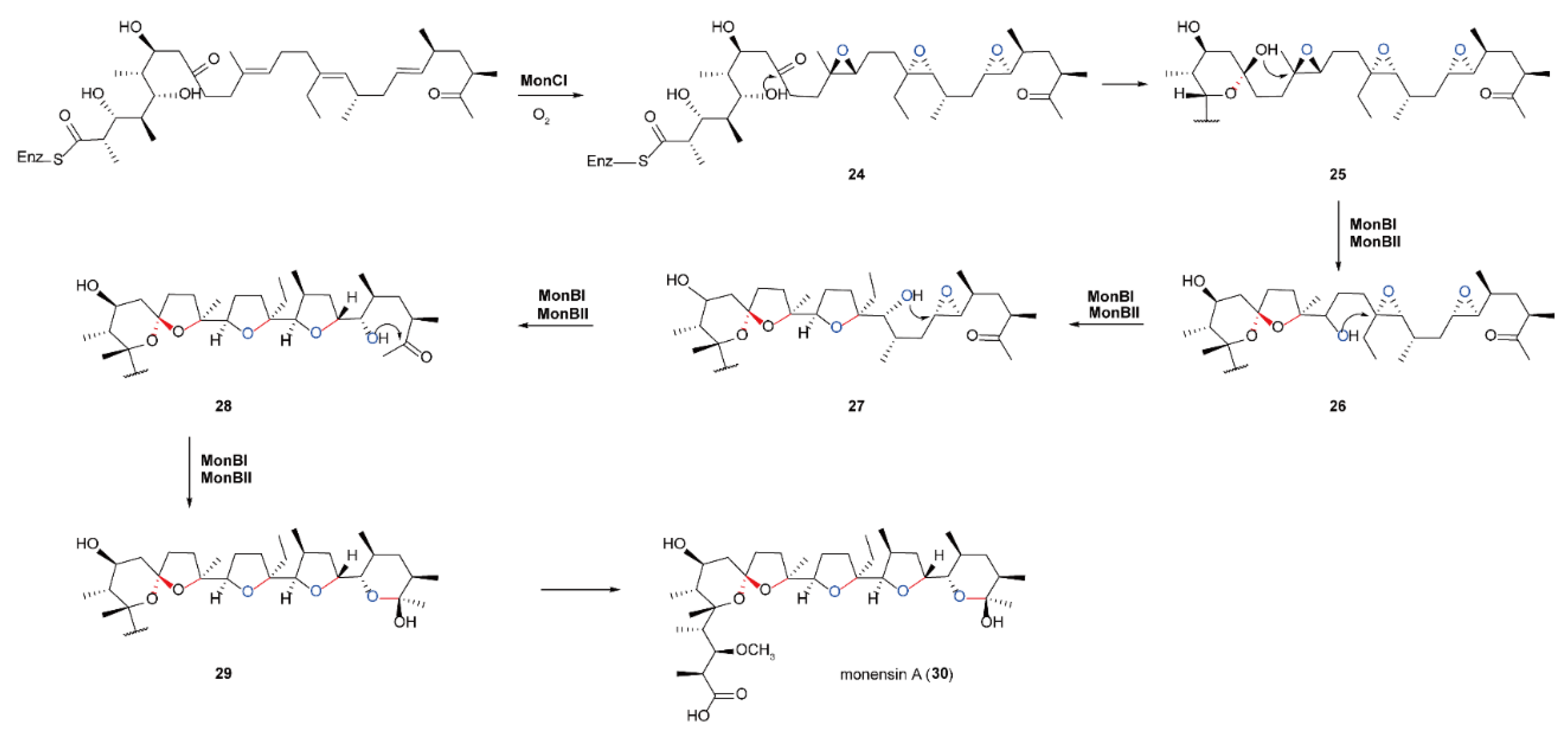 Ijms 23 02622 sch009 Ijms 23 02622 sch009