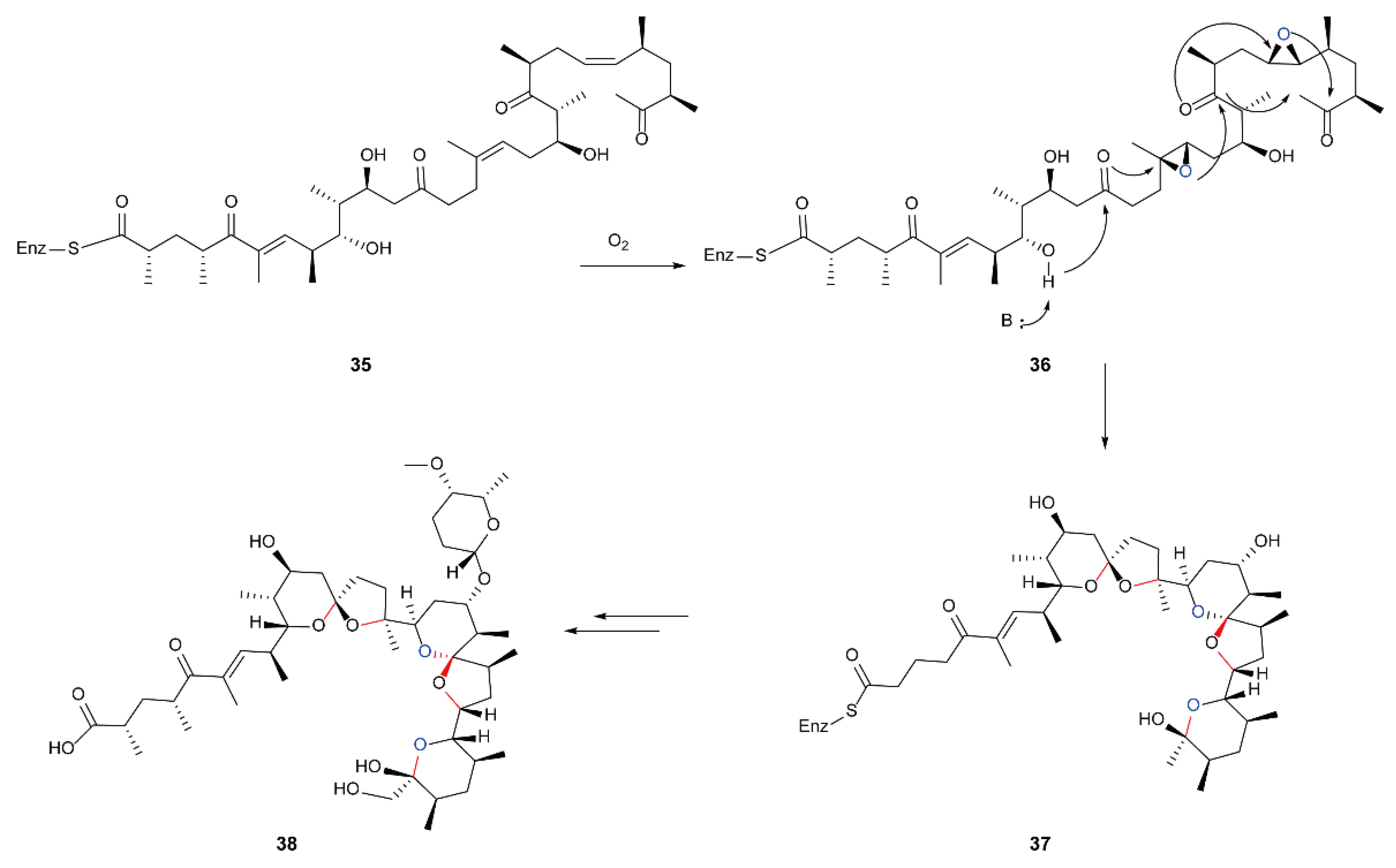 Ijms 23 02622 sch011 Ijms 23 02622 sch011