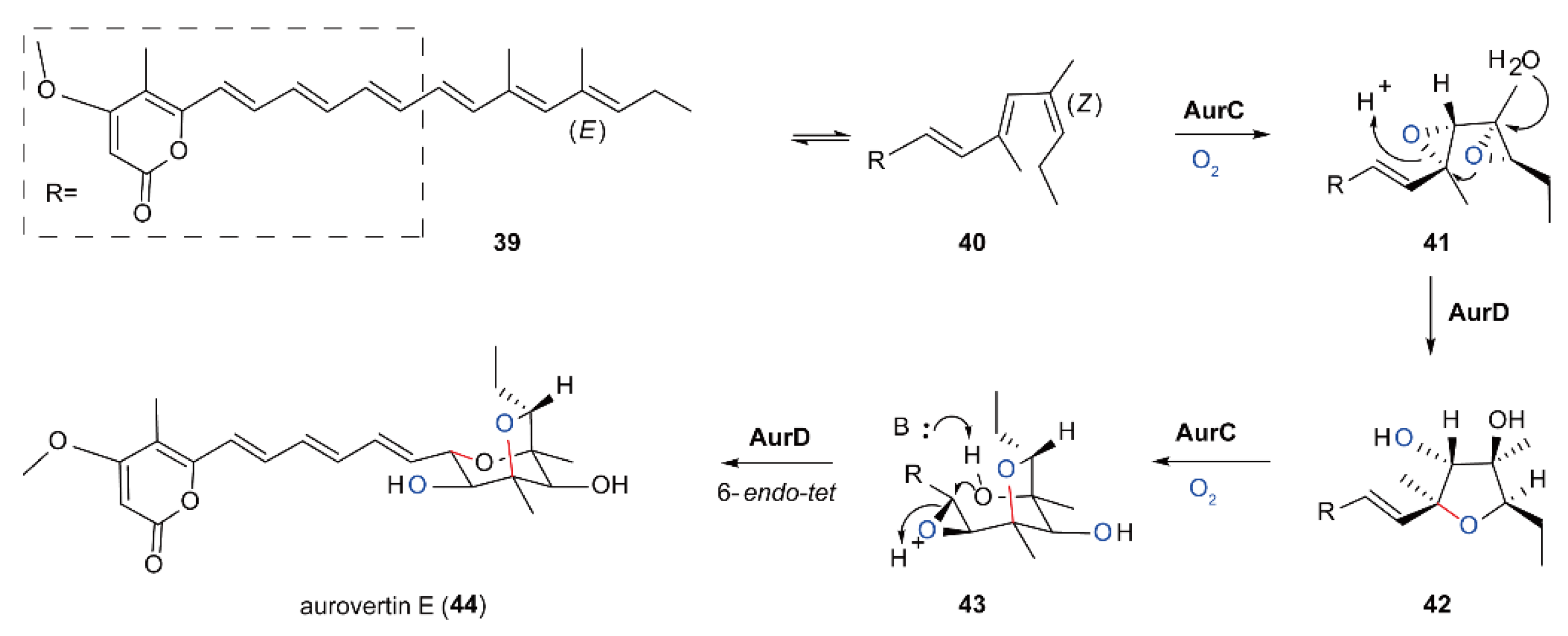Ijms 23 02622 sch012 Ijms 23 02622 sch012