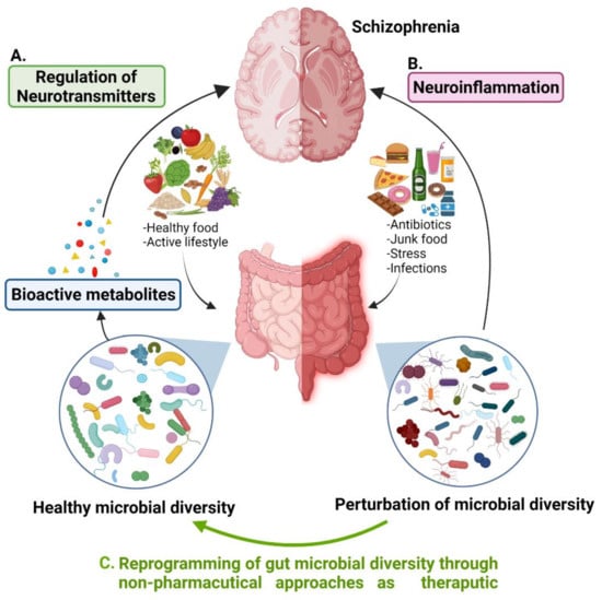 IJMS | Free Full-Text | Modulation of Gut Microbial Diversity