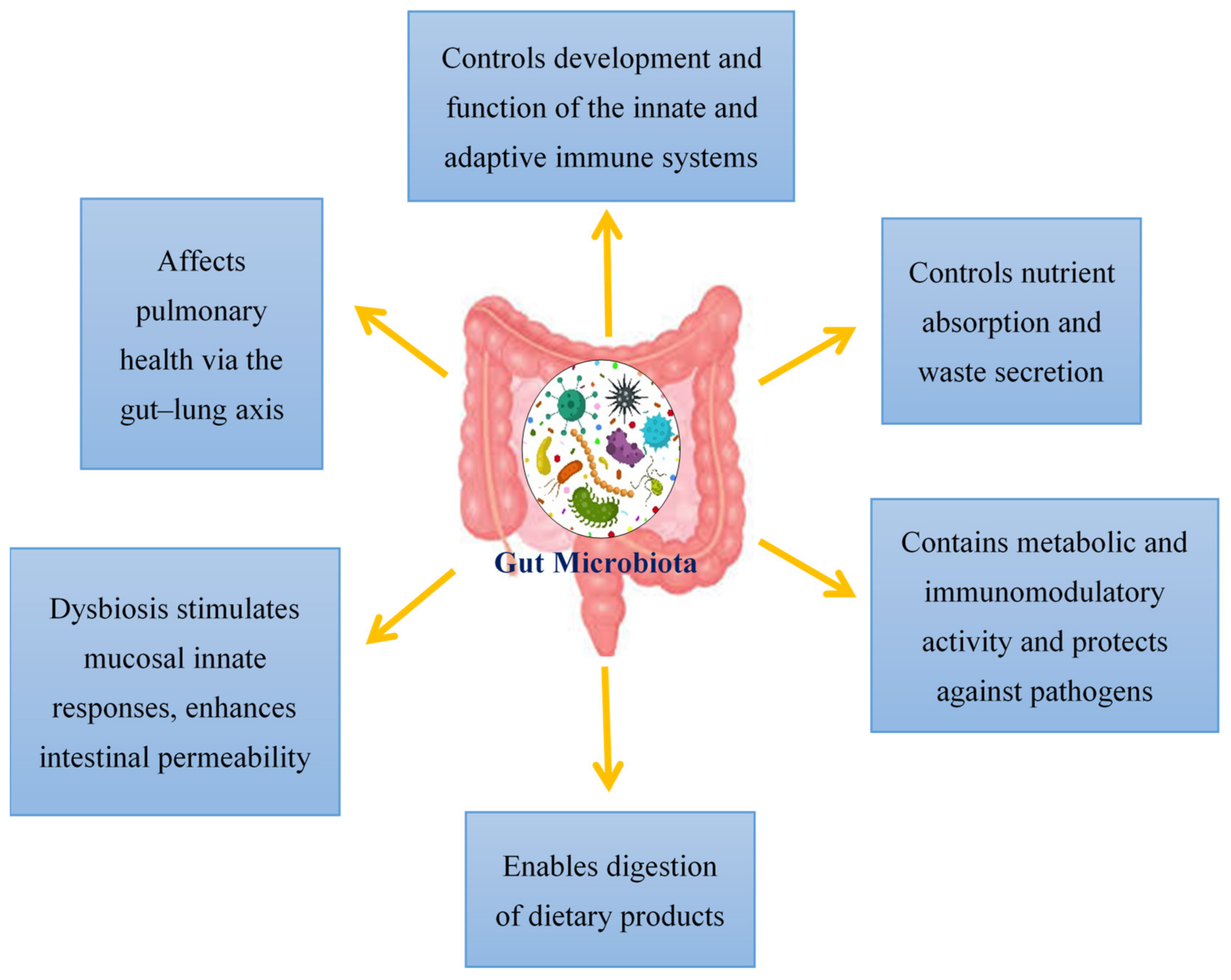 IJMS | Free Full-Text | Malnutrition and Dietary Habits Alter the Immune  System Which May Consequently Influence SARS-CoV-2 Virulence: A Review