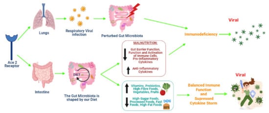 IJMS | Free Full-Text | Malnutrition and Dietary Habits Alter the ...